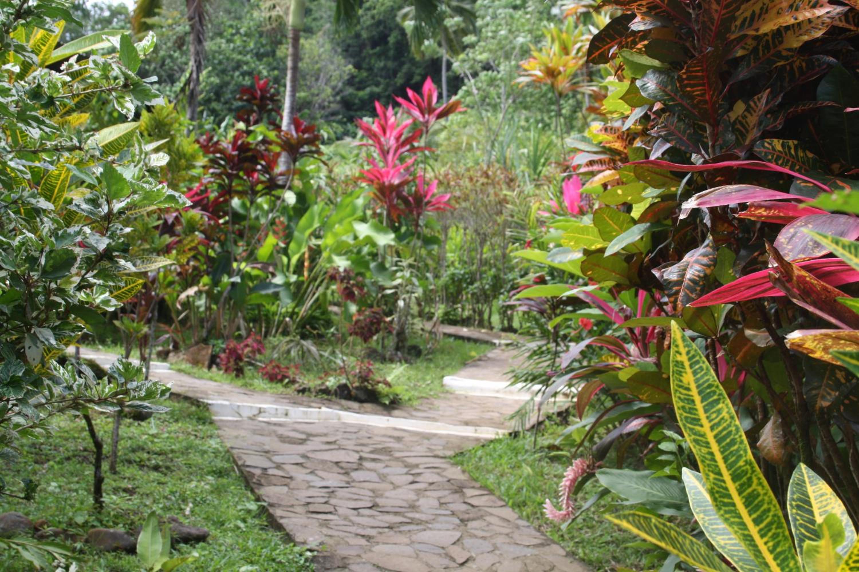 Hibiscus Valley Inn