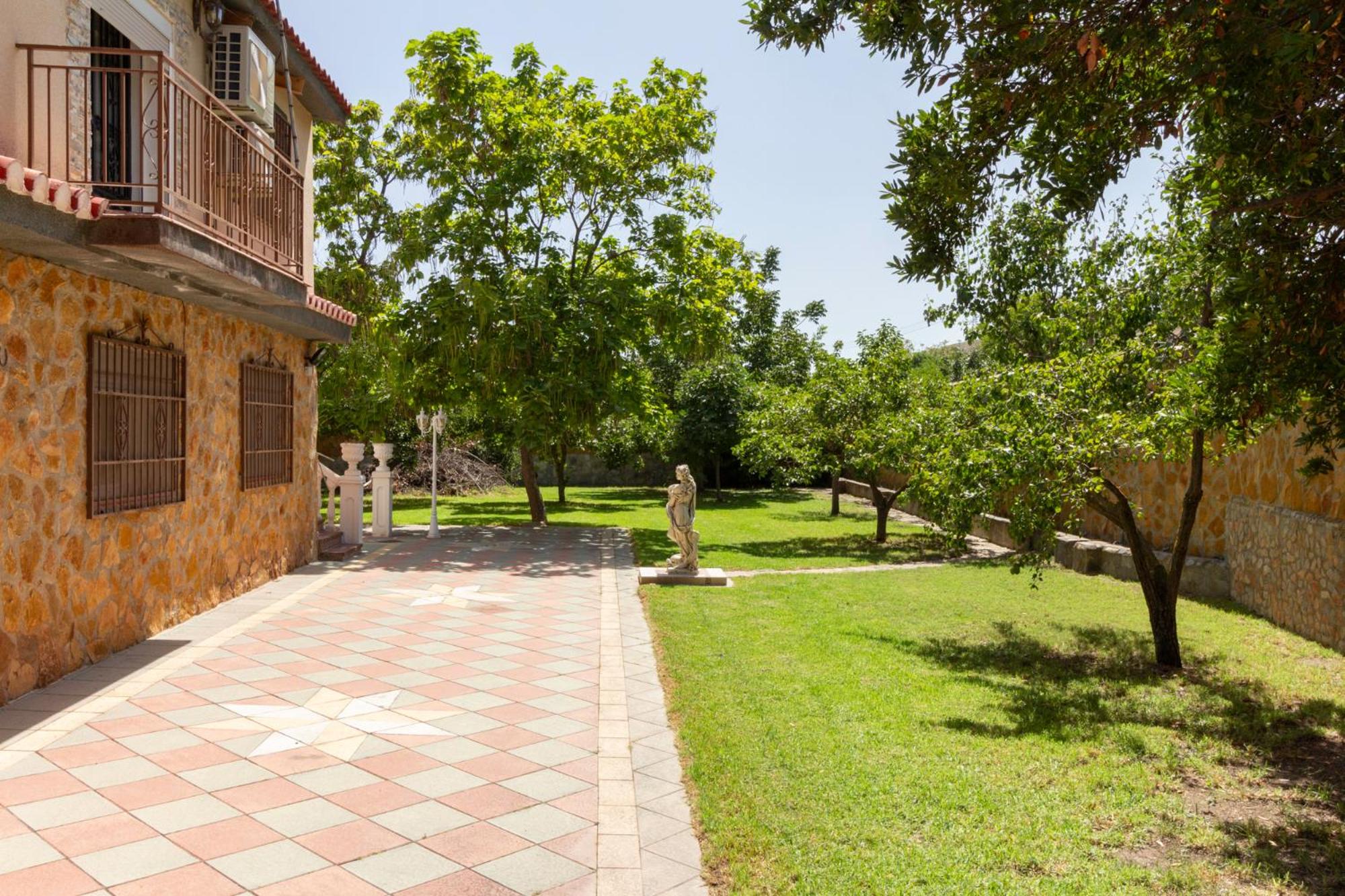 Finca bellas vistas view 5