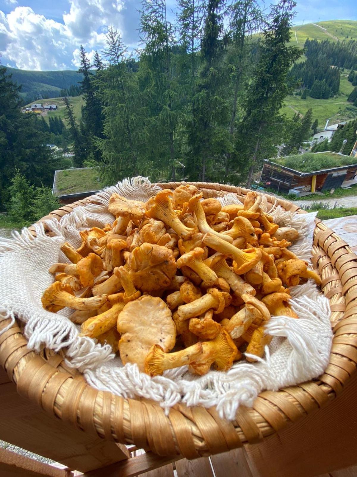 Photo 40