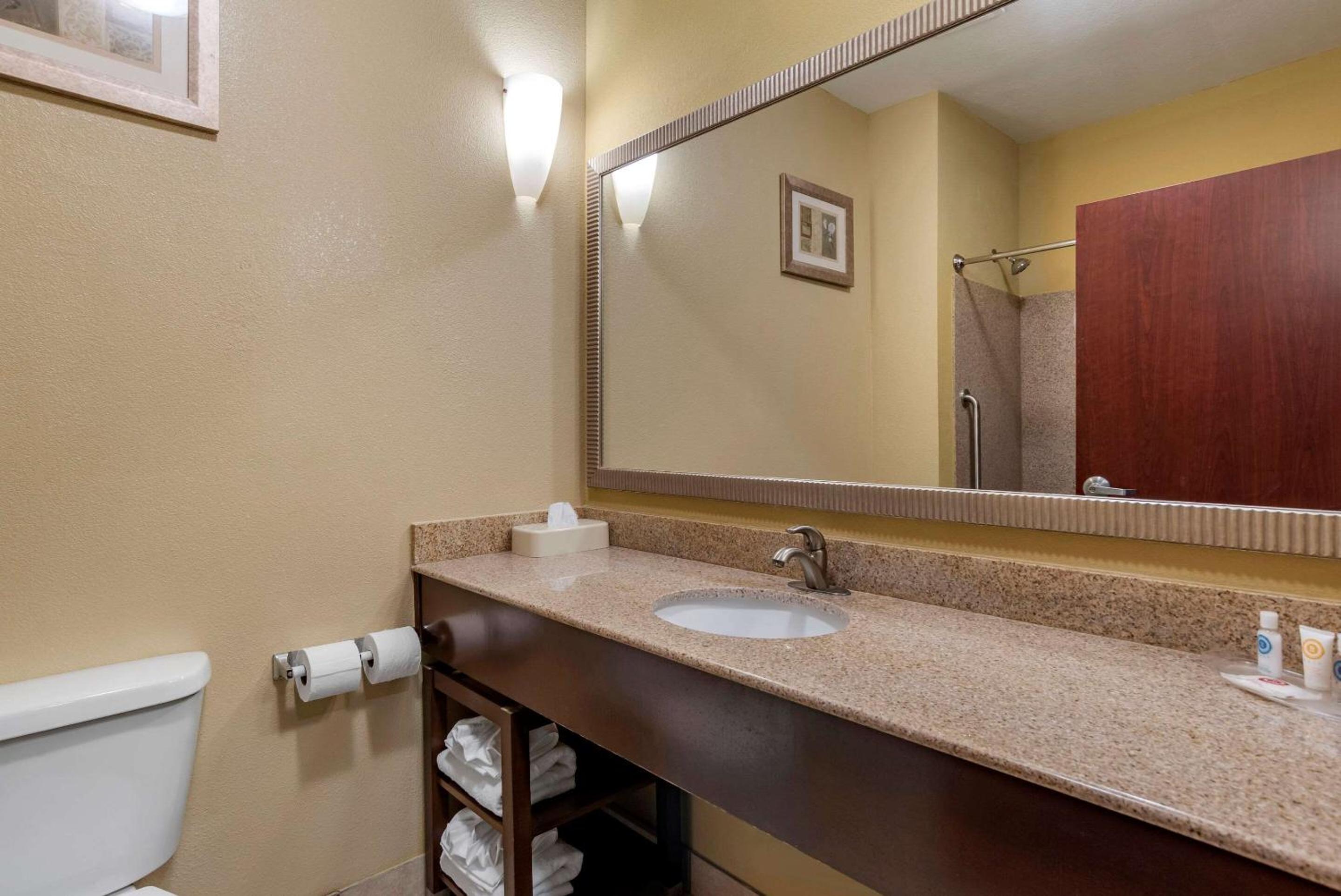 Montgomery Vacations - Comfort Suites Airport South - Property Image 2