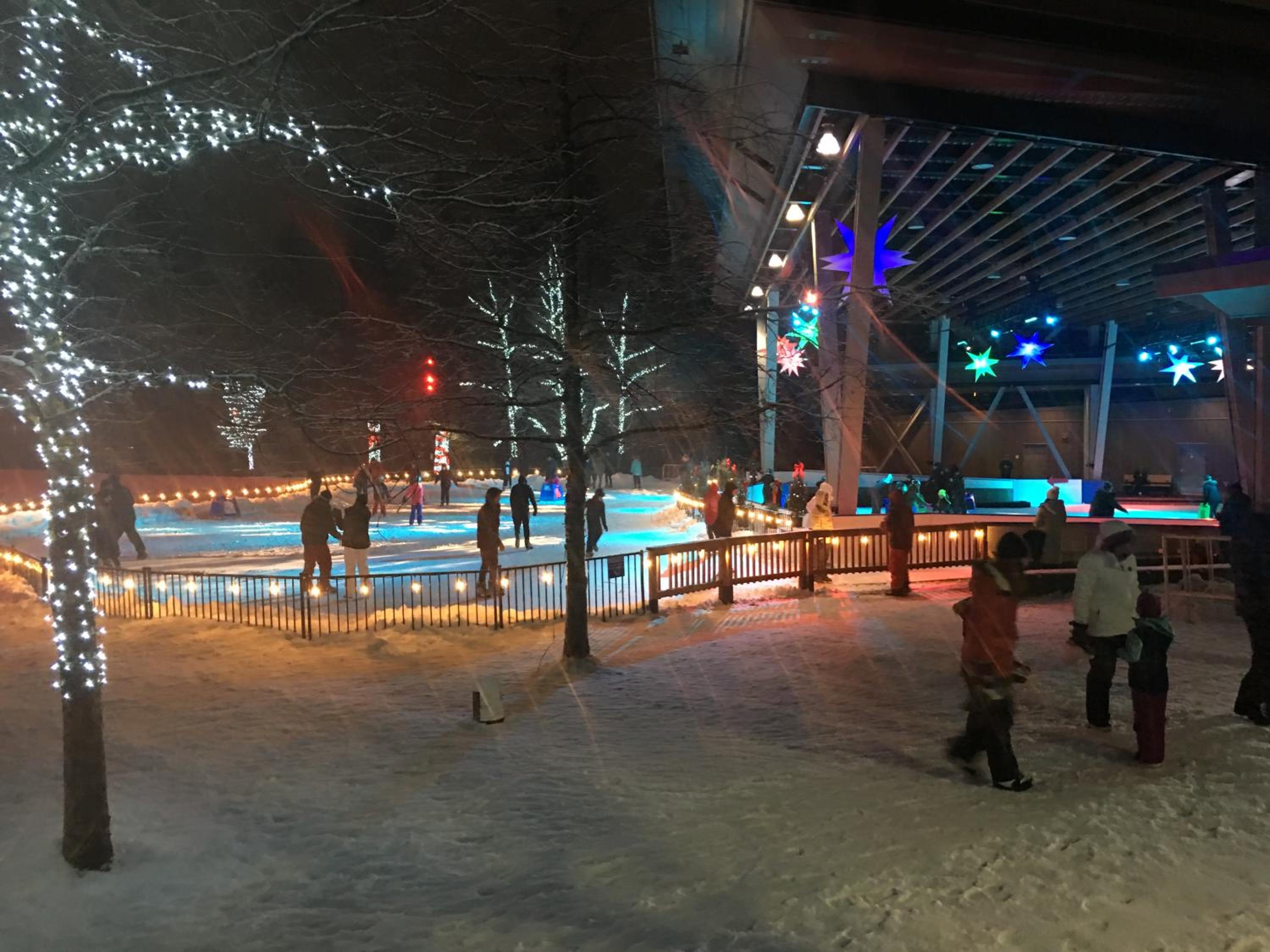 Valhalla Vacations at Whistler - Image 4