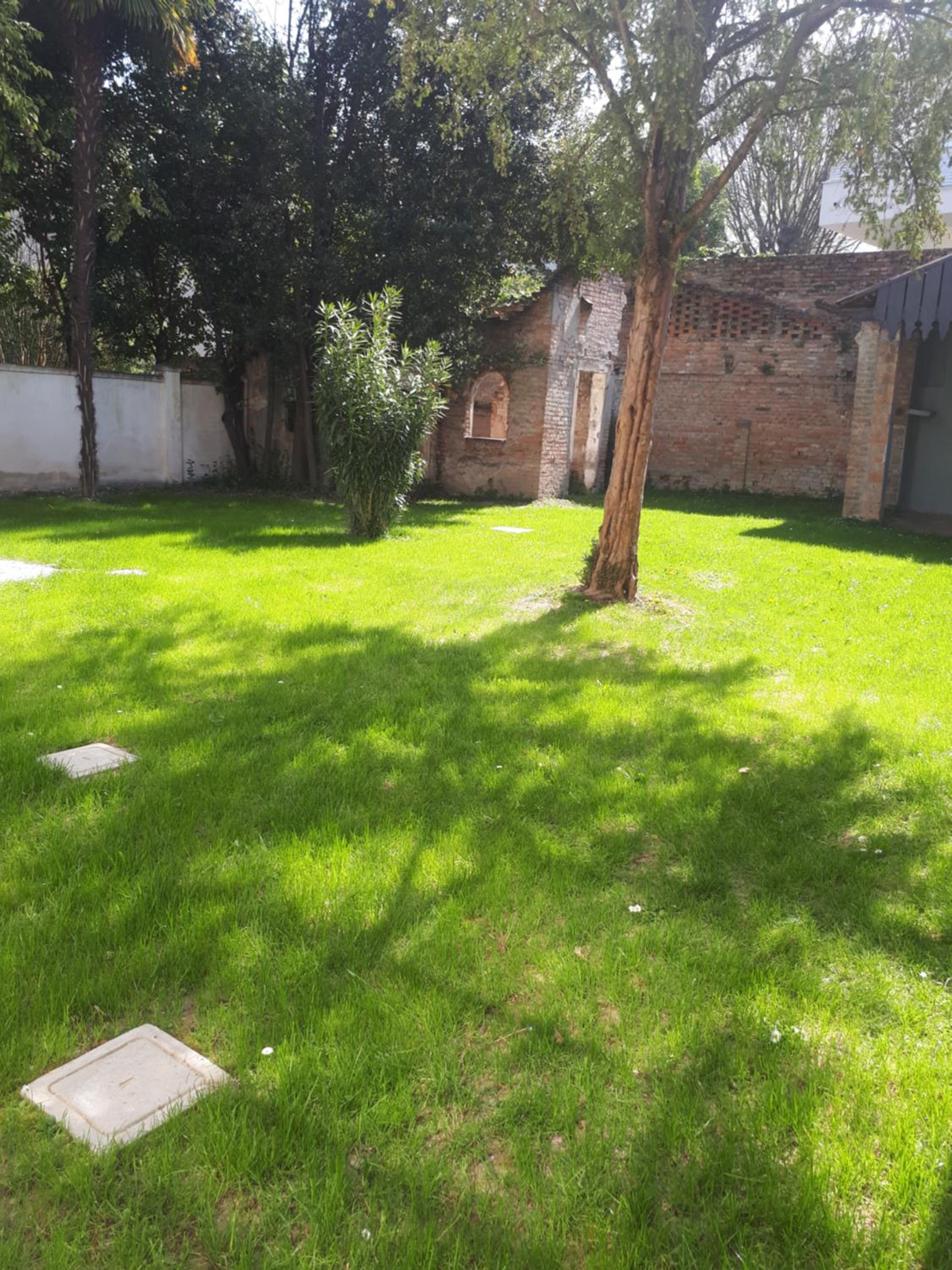 Photo 51