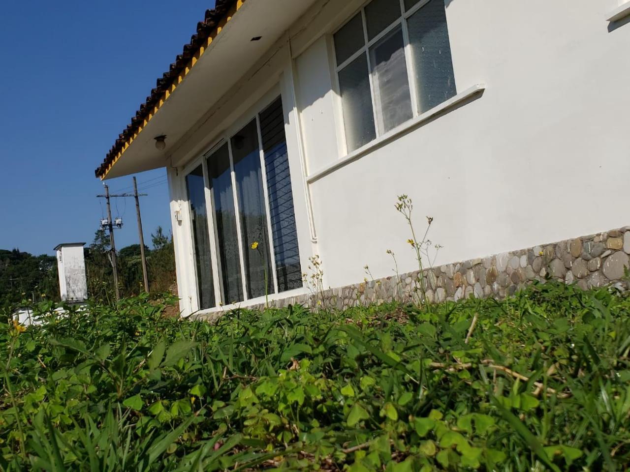 Photo 46