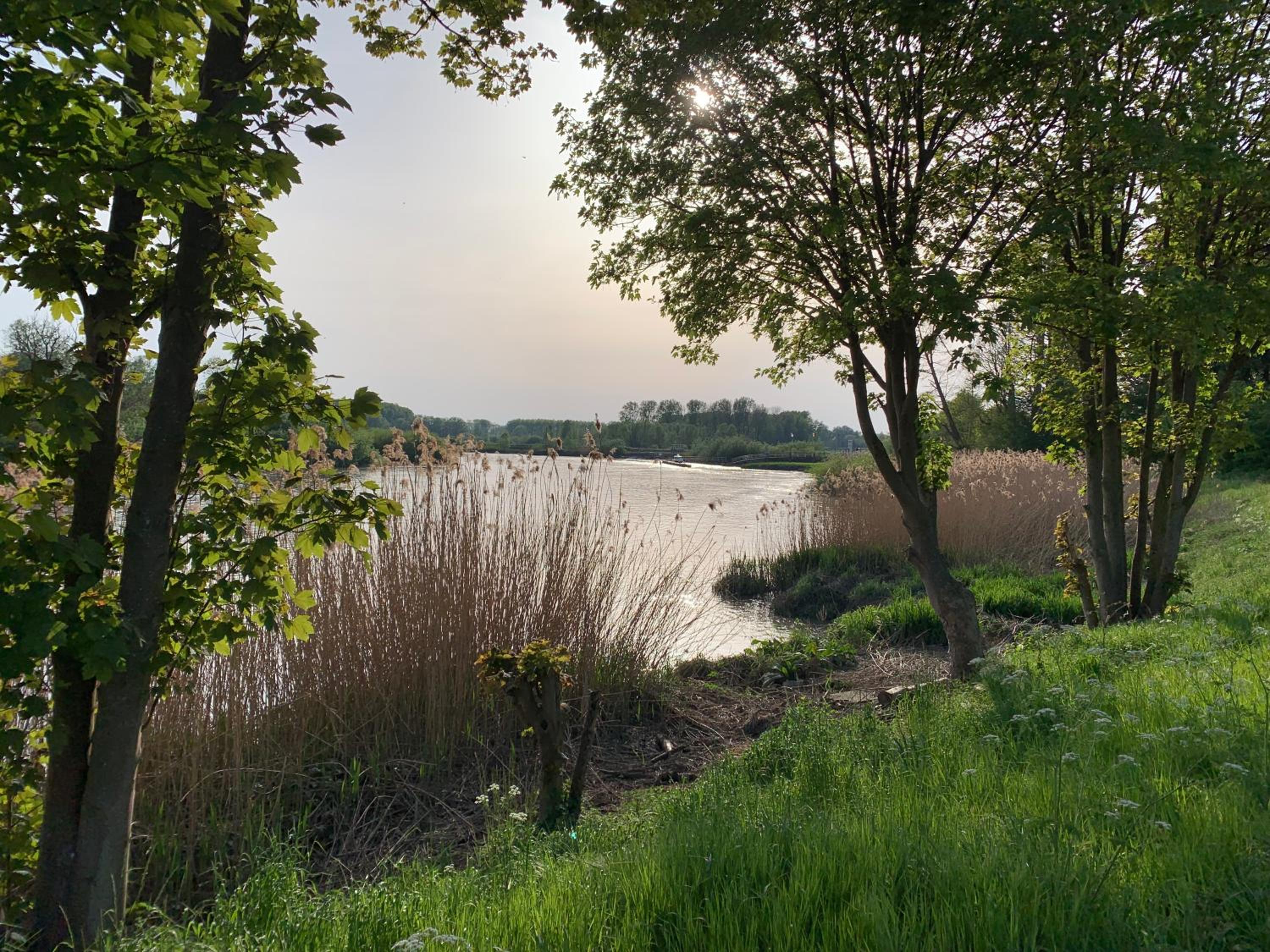 De Koolputten