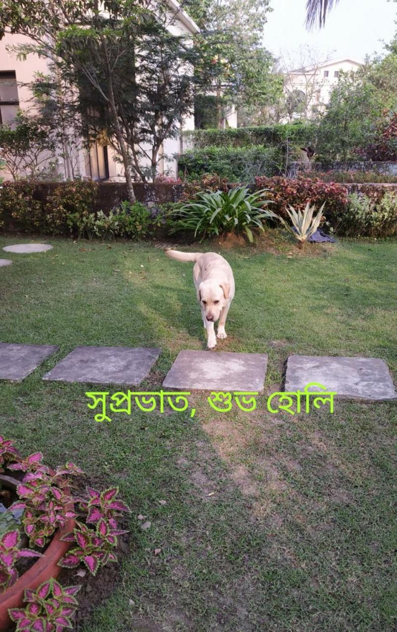Photo 47