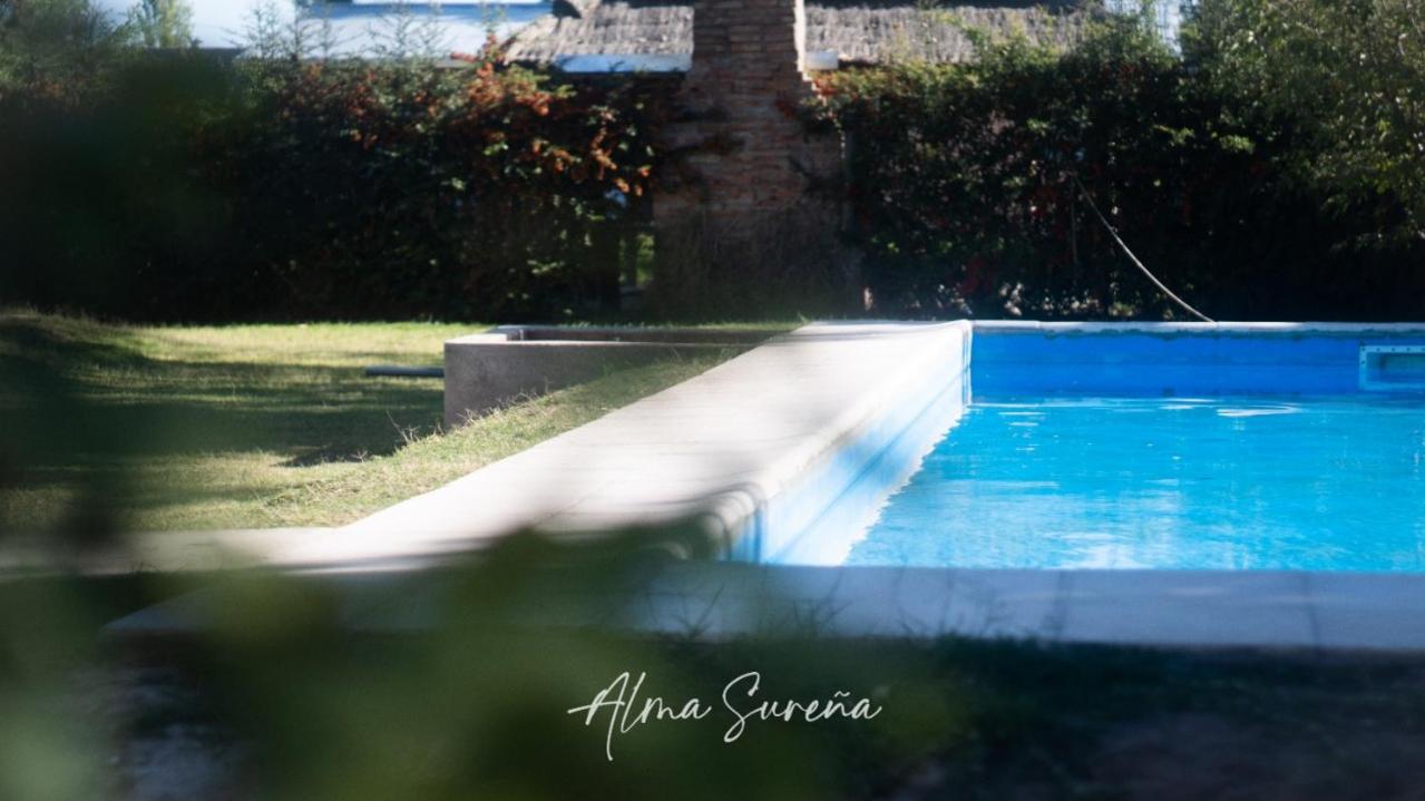 Alma Sureña