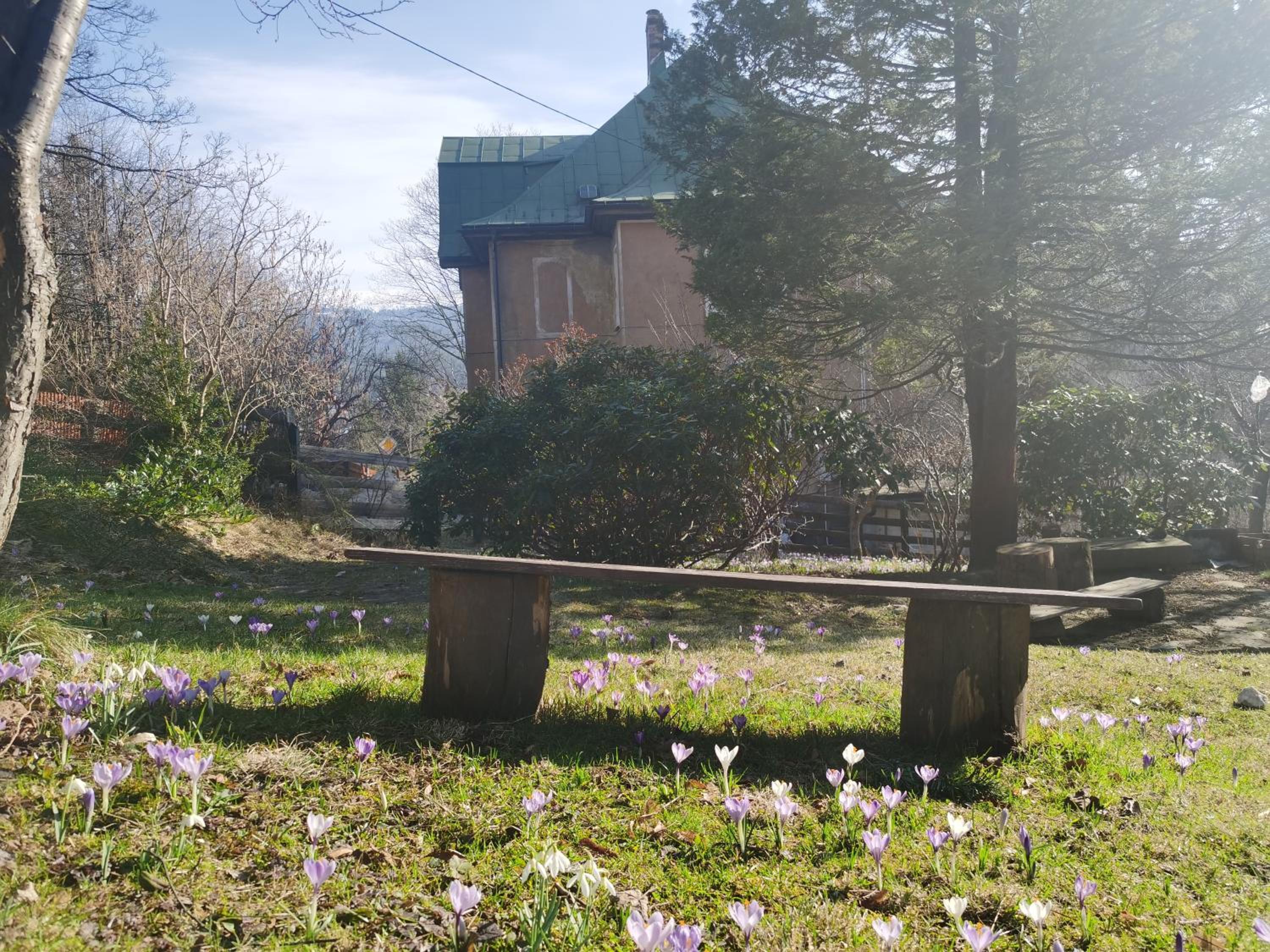 Photo 11