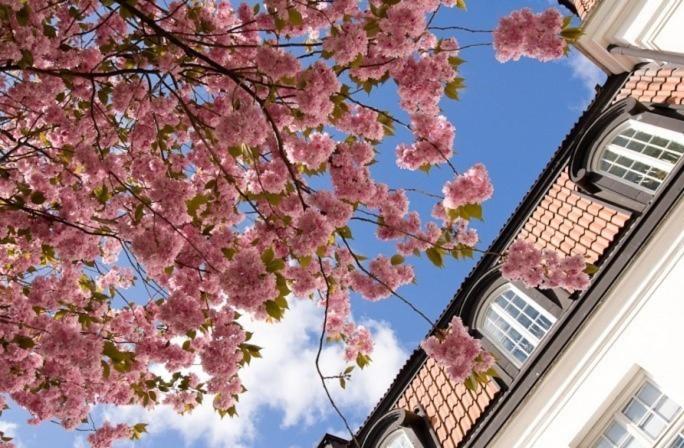 Hotel Uppsala City Hostel - Image 1