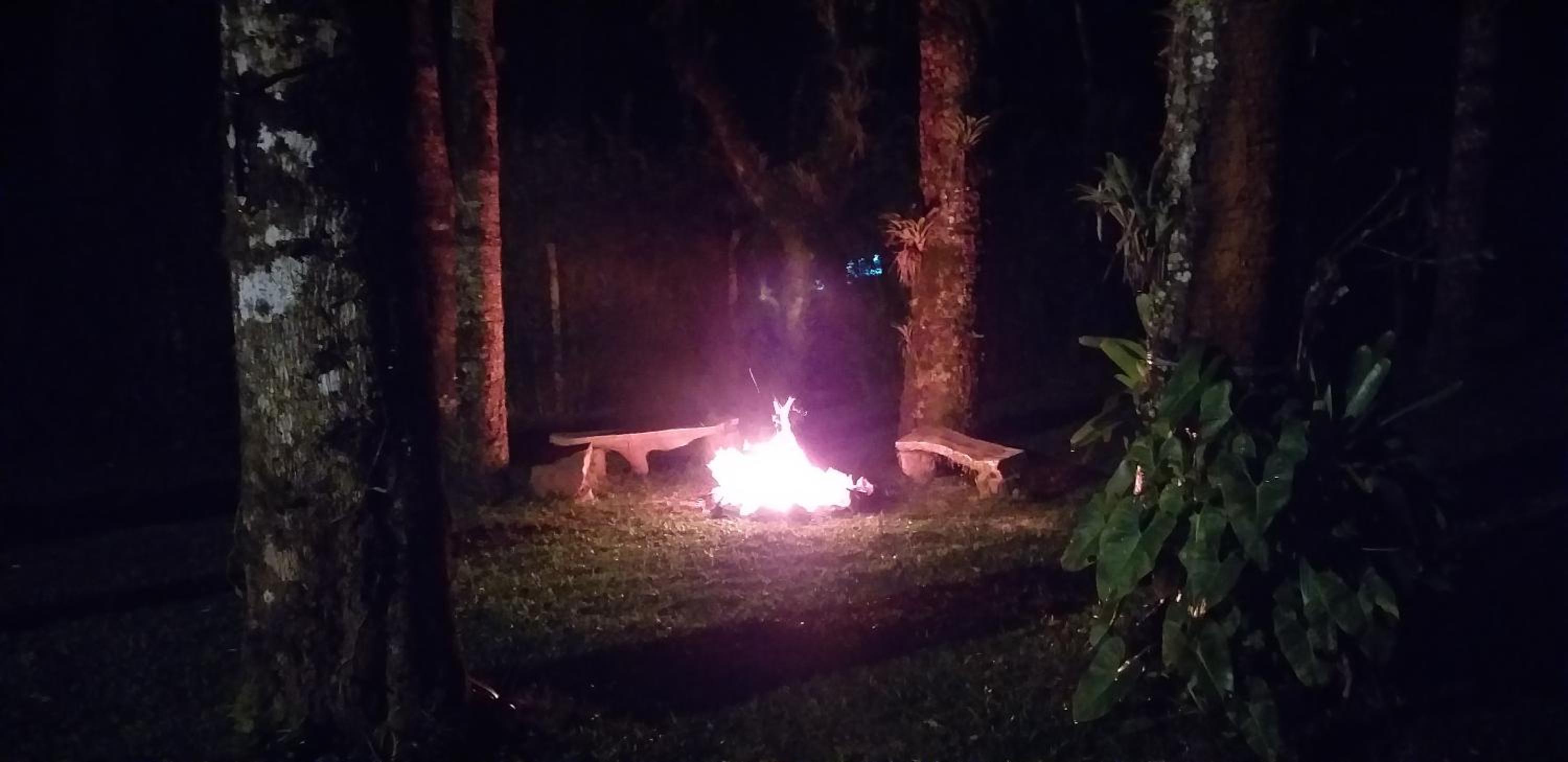 Bosque das Araucárias