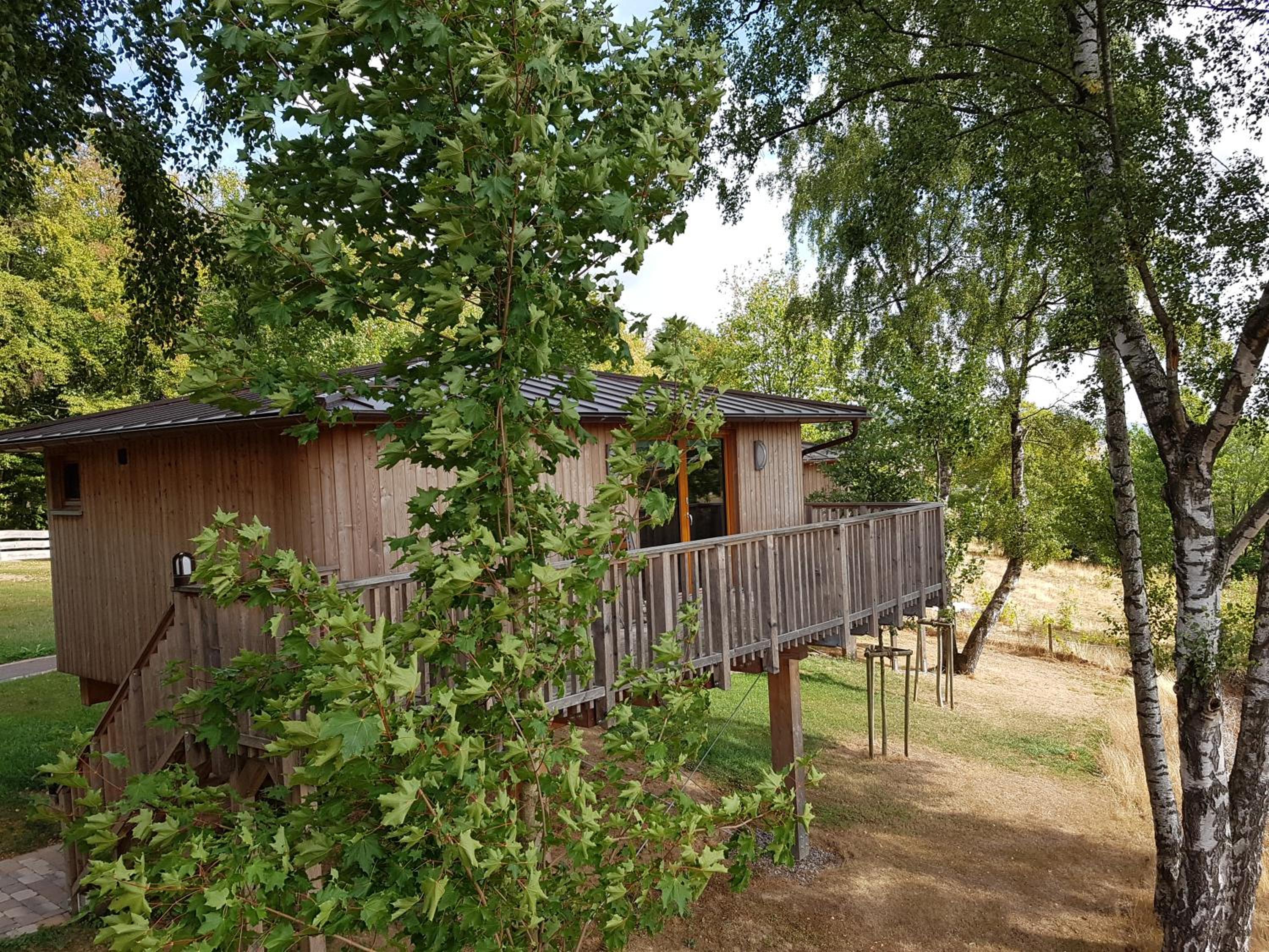 Hotel Waldquelle - Baumhaushotel Aerzen - Property Image 110