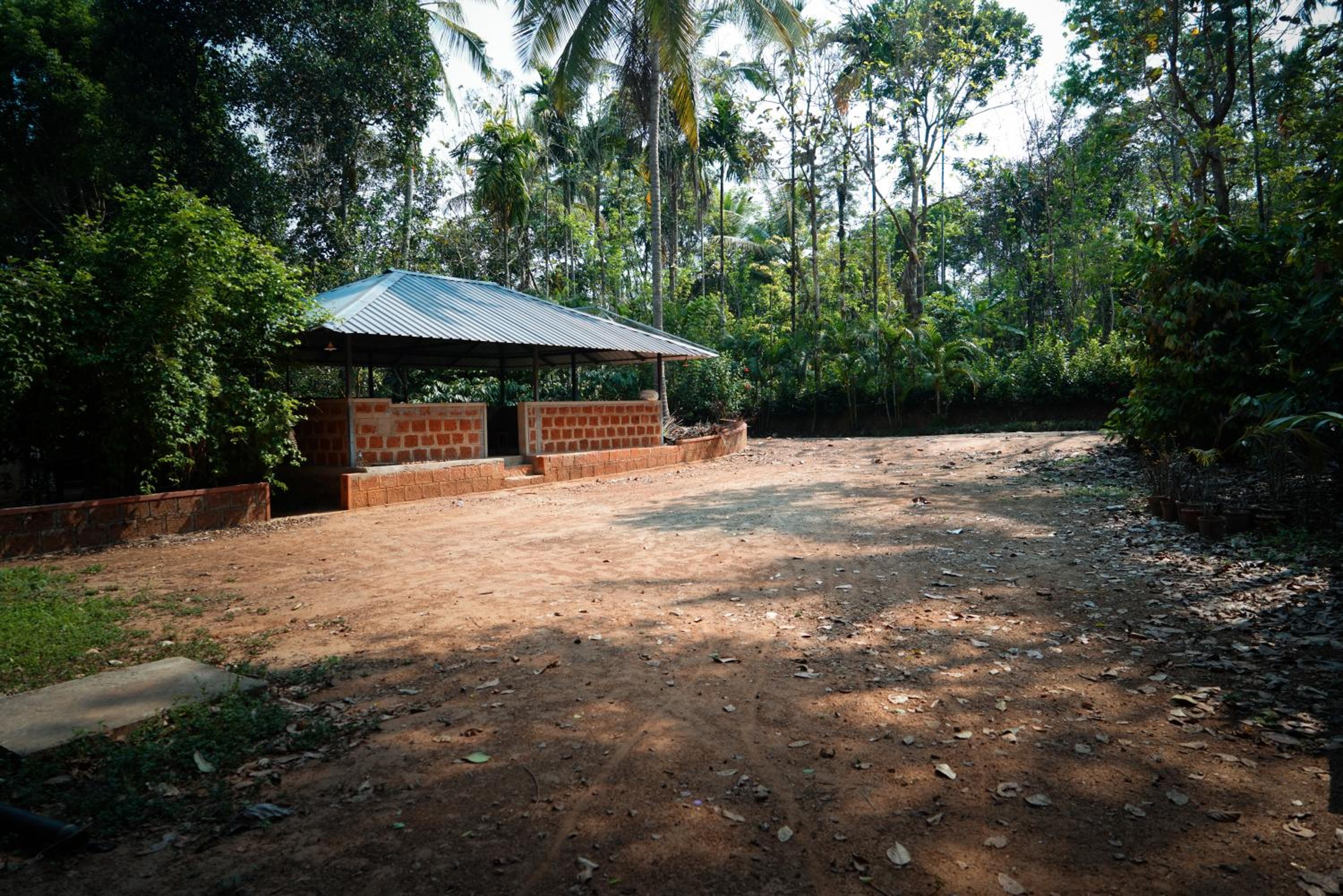 Photo 100