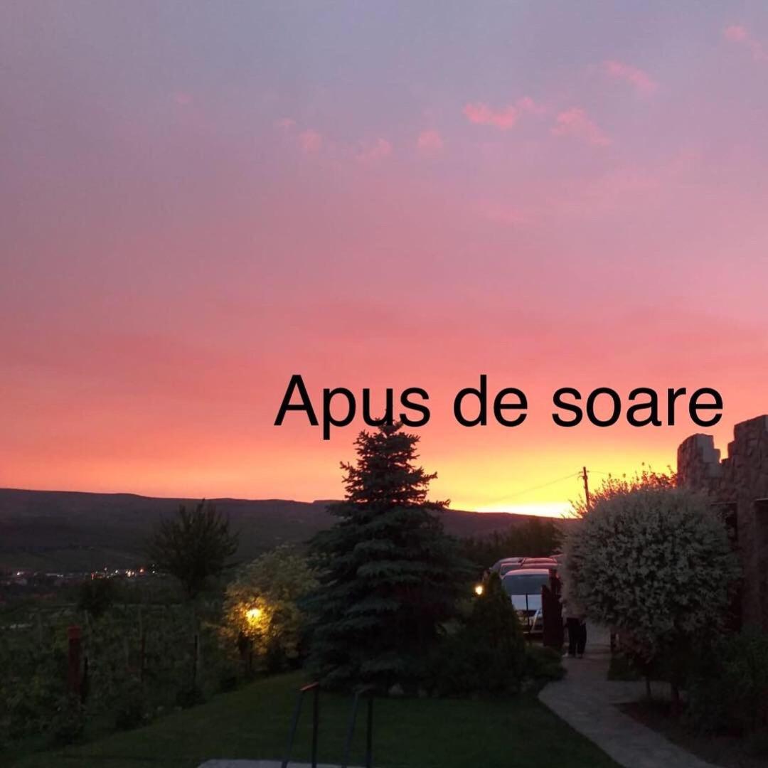 Photo 52