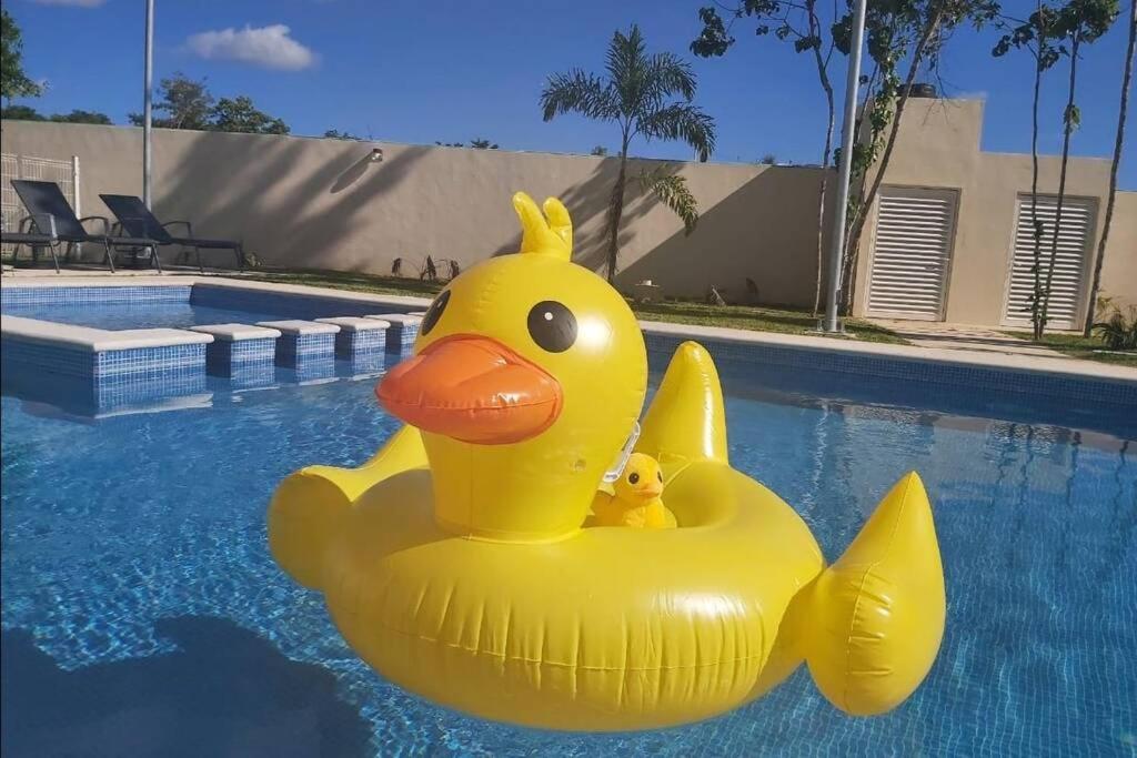 El Depa del Pato