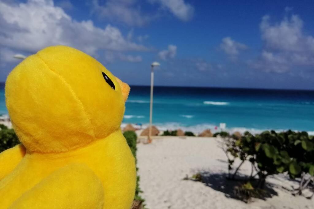 El Depa del Pato
