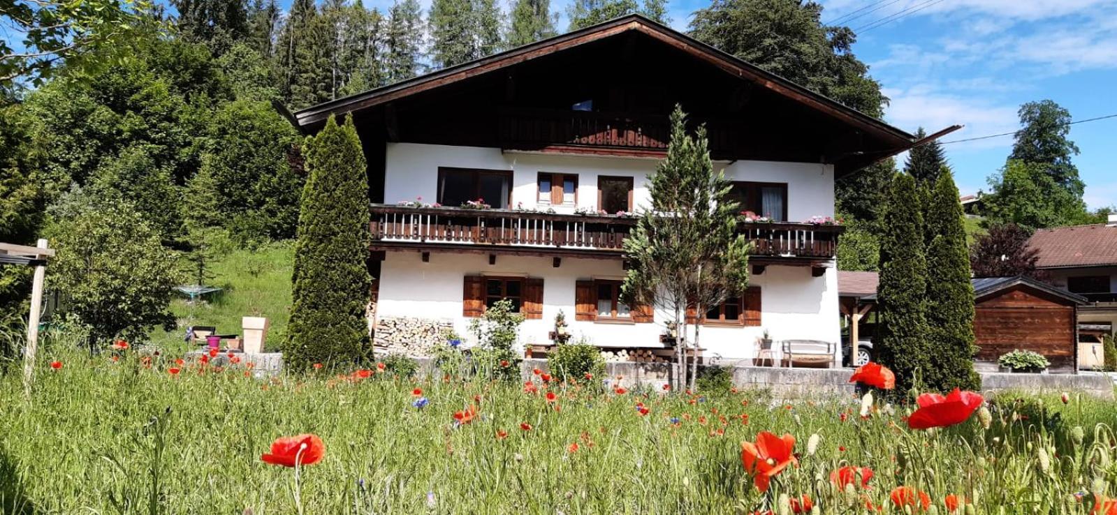 Haus Biller view 3
