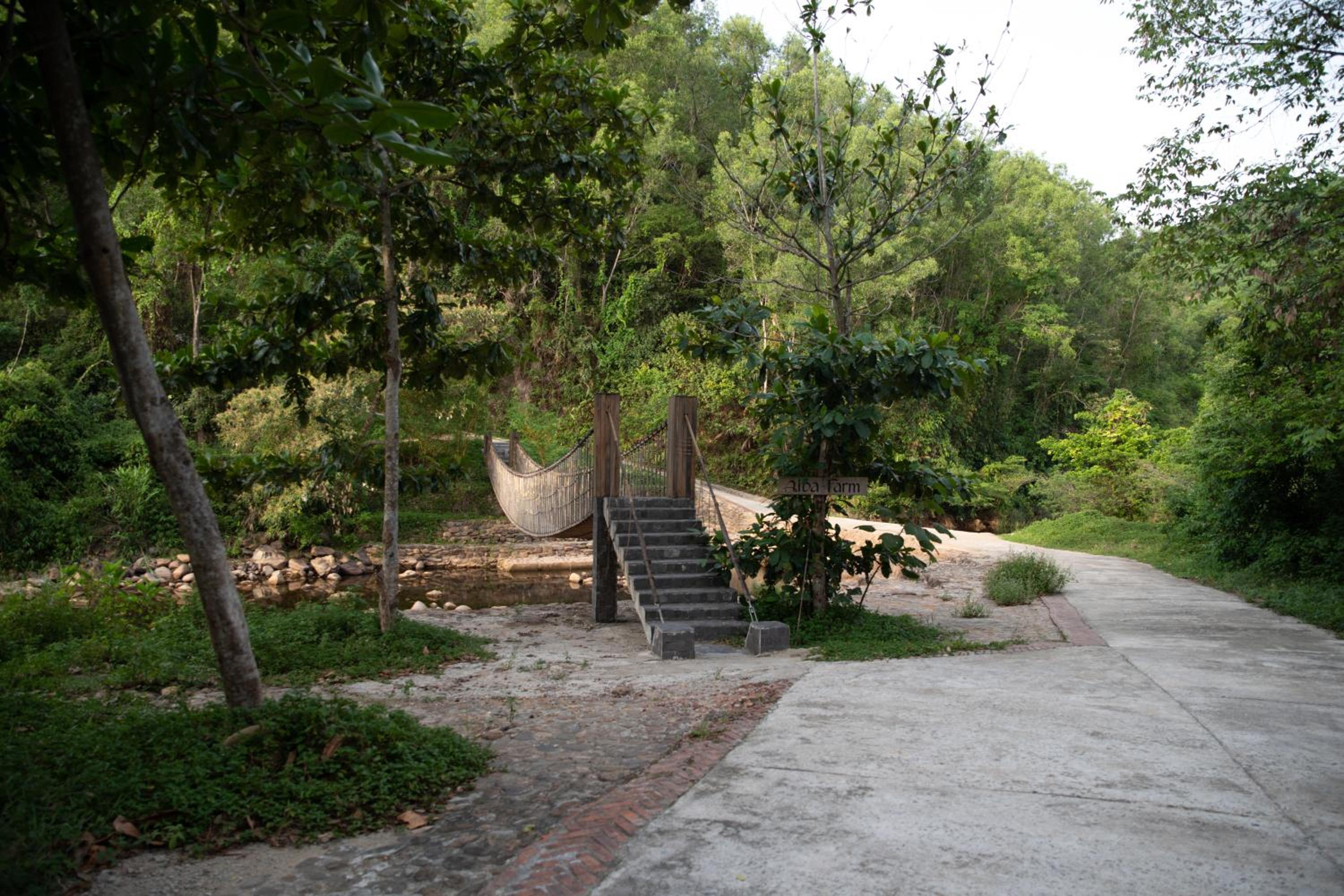 Alba Wellness Resort By Fusion view 3