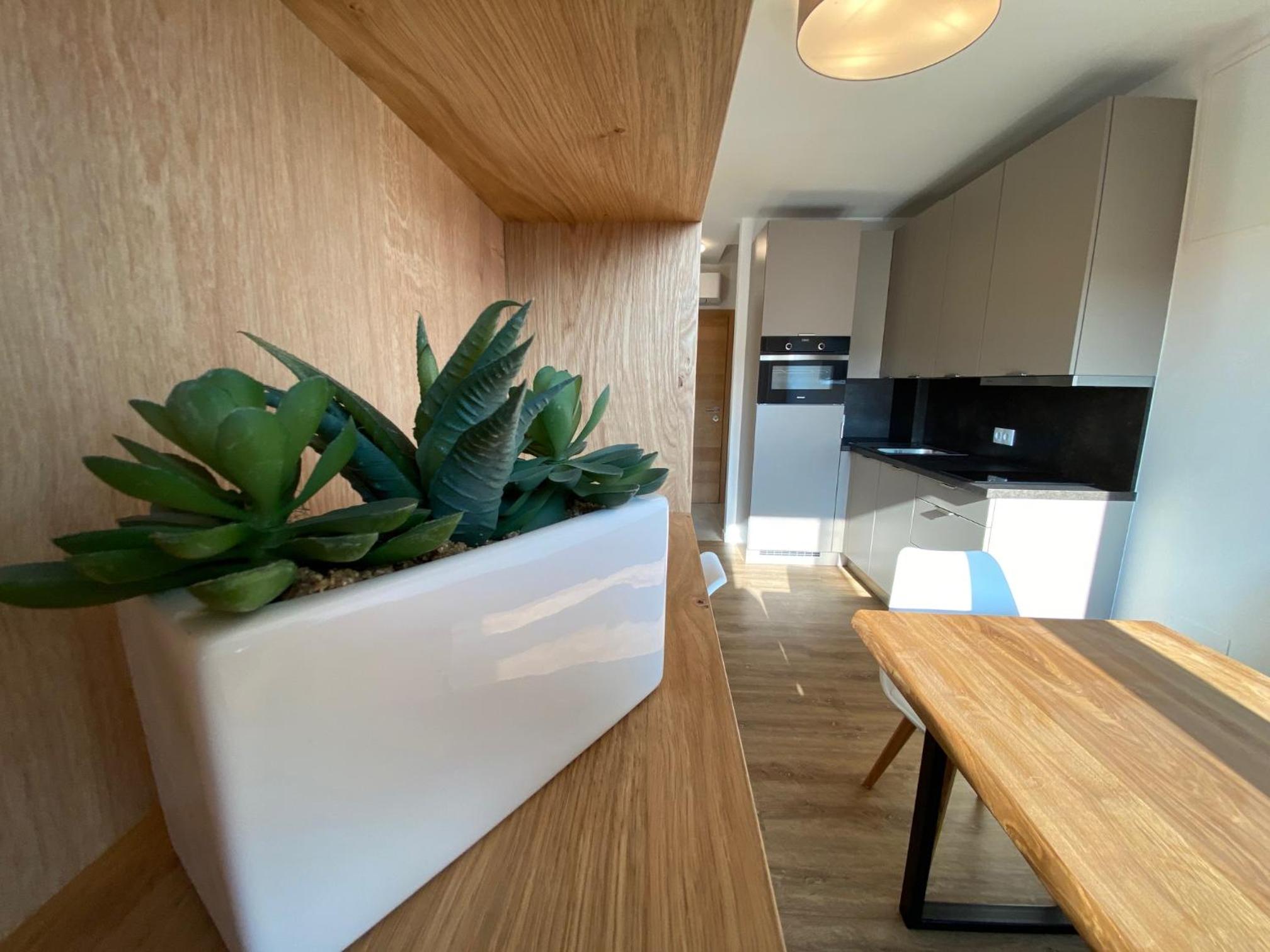 Apartments Freitag - H1