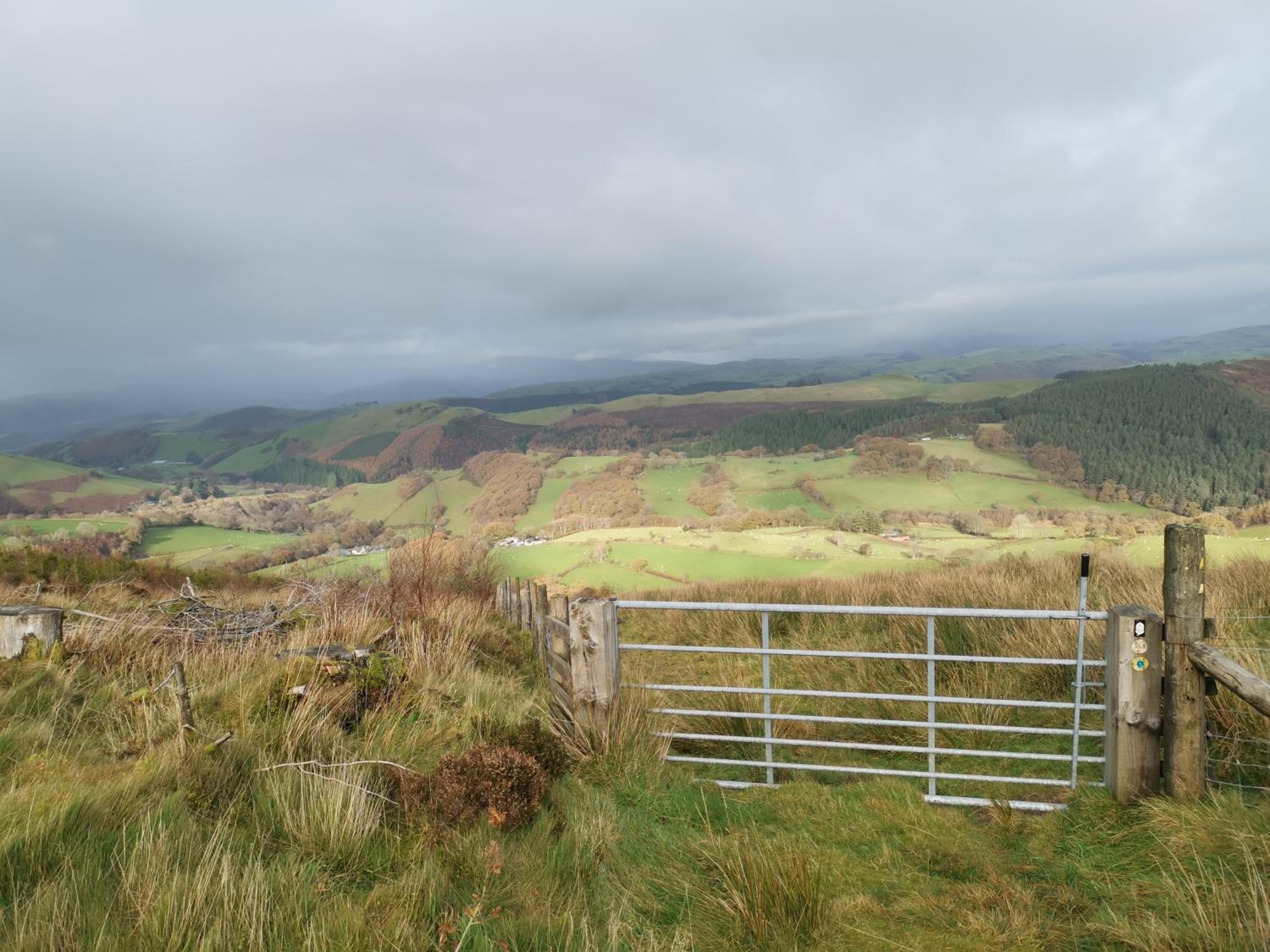 other