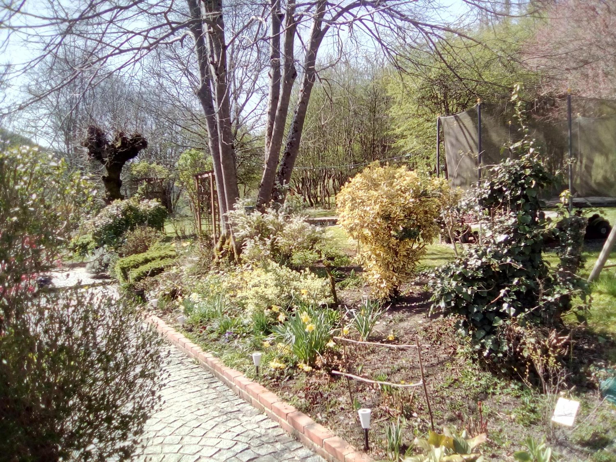 Photo 42