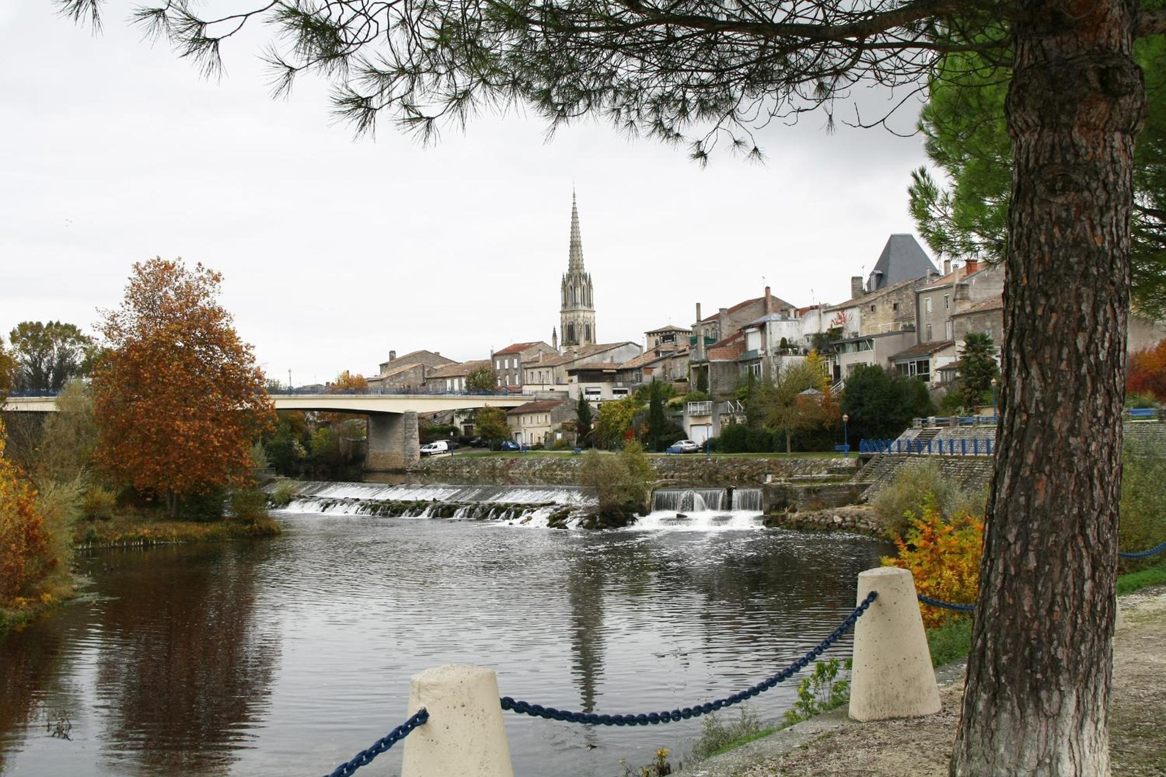 Photo 20
