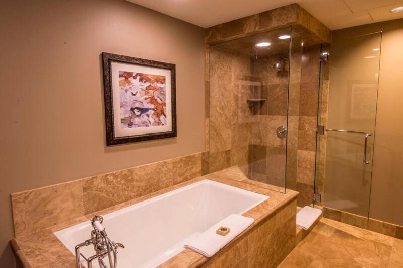 Aspen Hyatt Grand 1bedroom