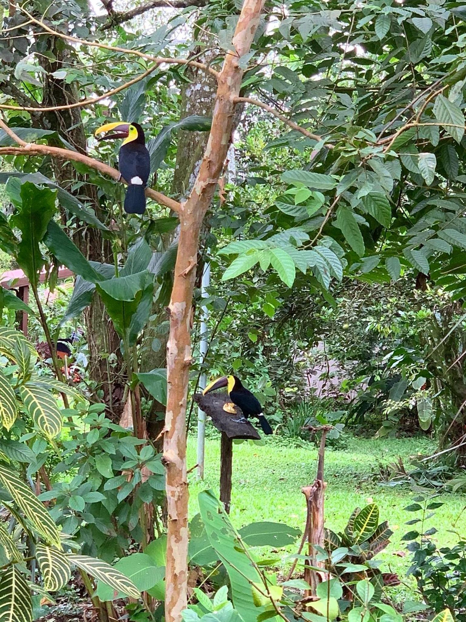 Villa Tucan