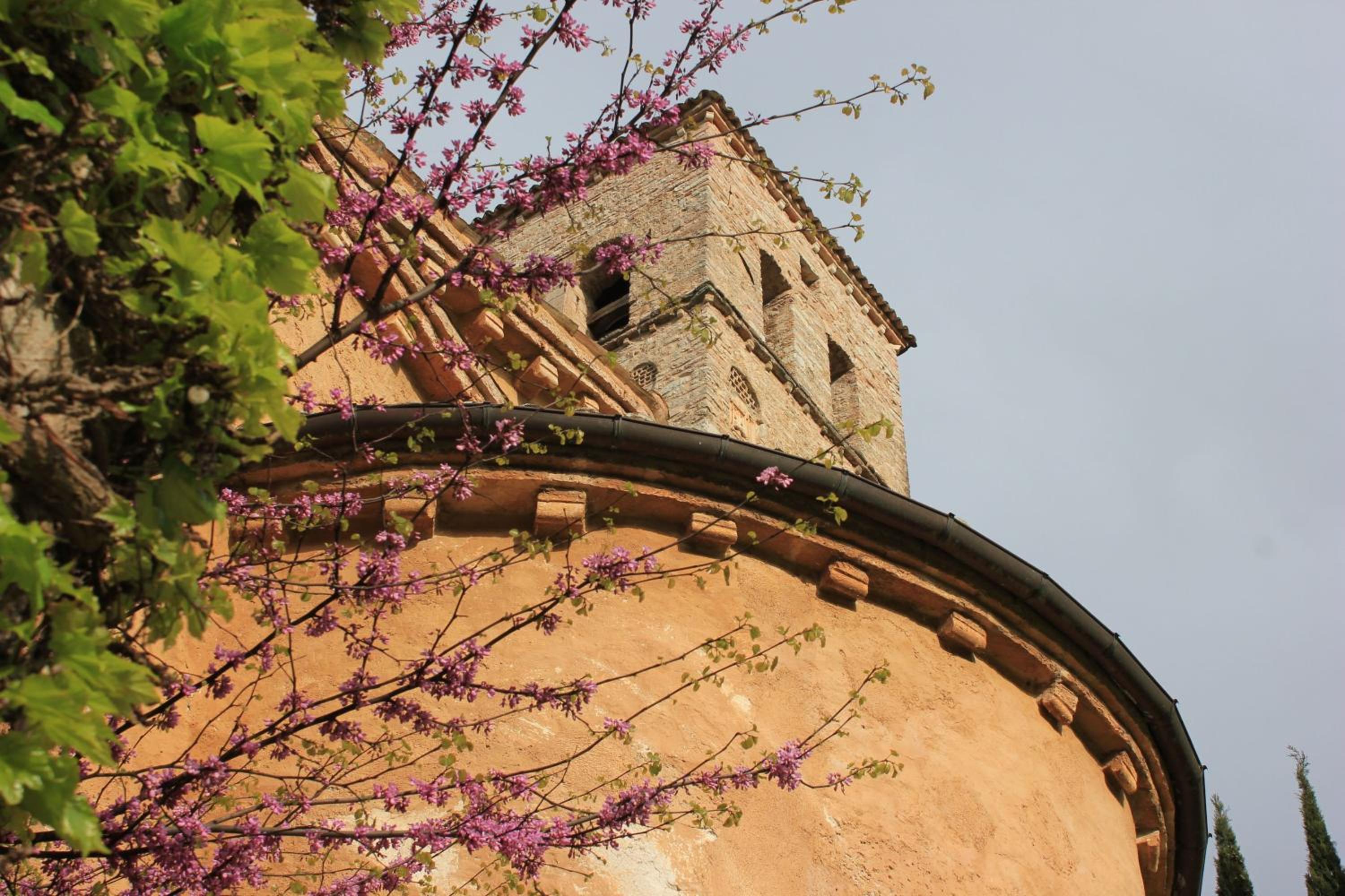 Abbazia San Pietro In Valle