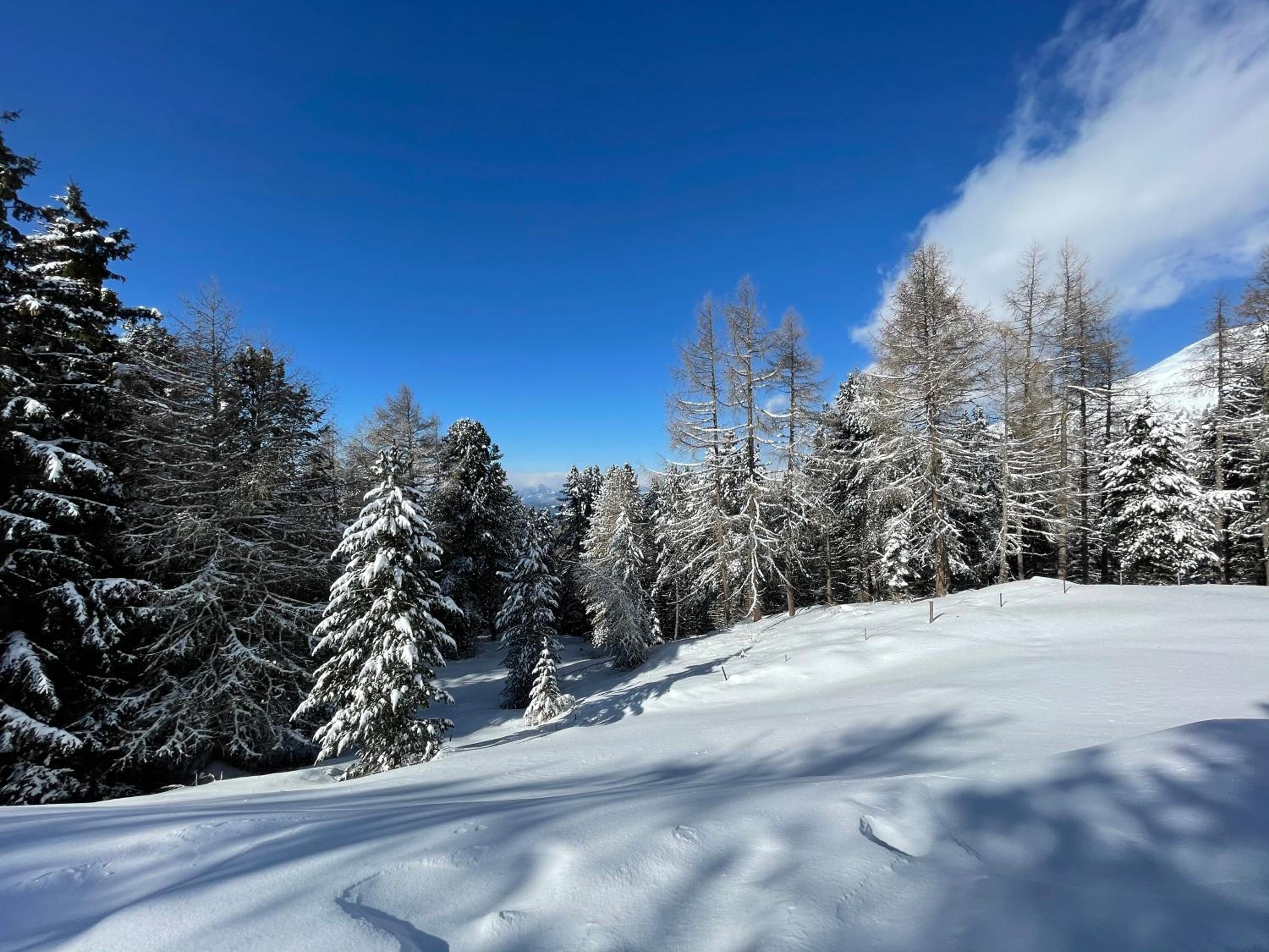 Zirbitz Hütte mit Sauna und Kamin