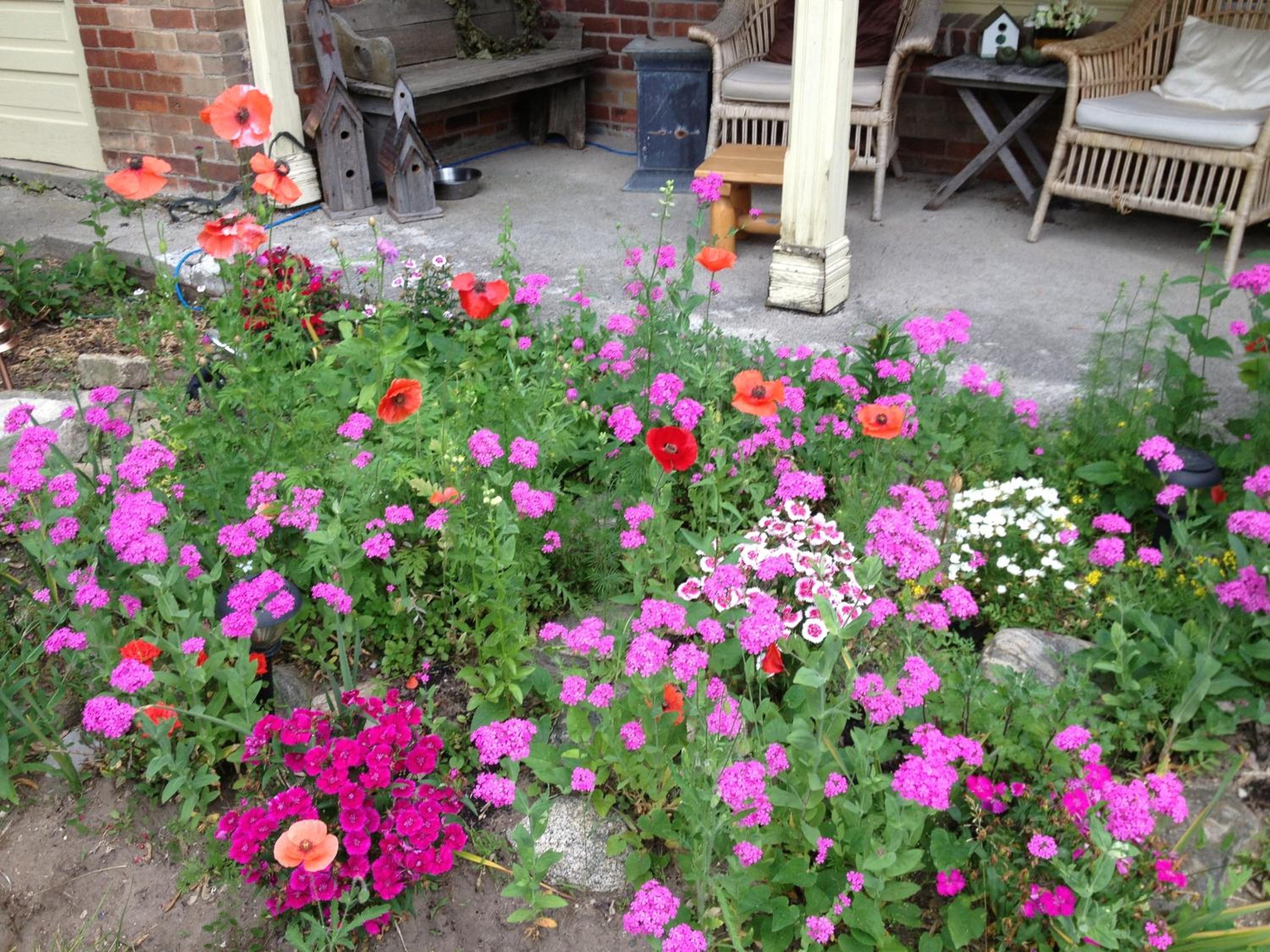 Foxingham Farm Bed & Breakfast