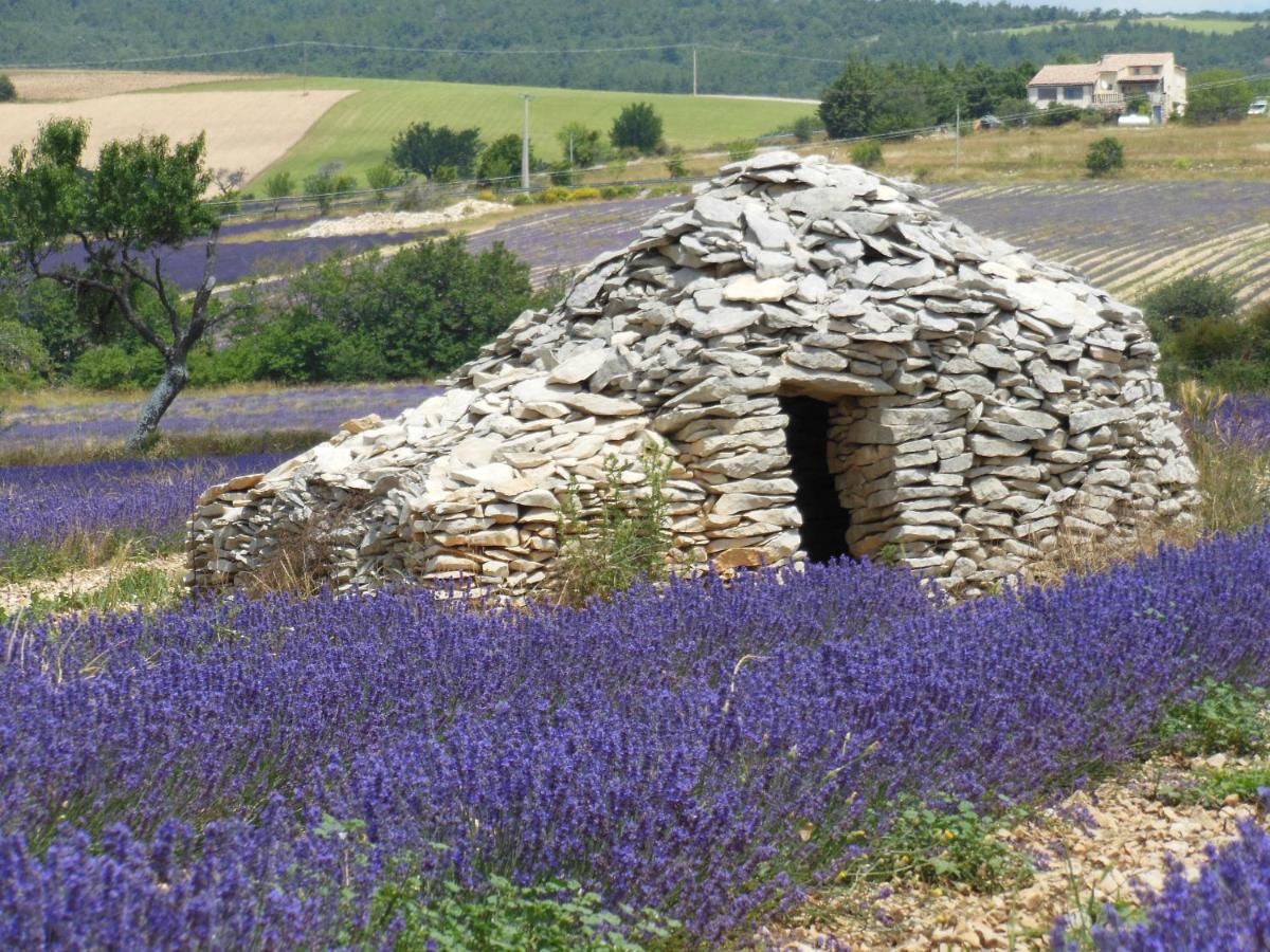 Domaine Lafayette - Property Image 38