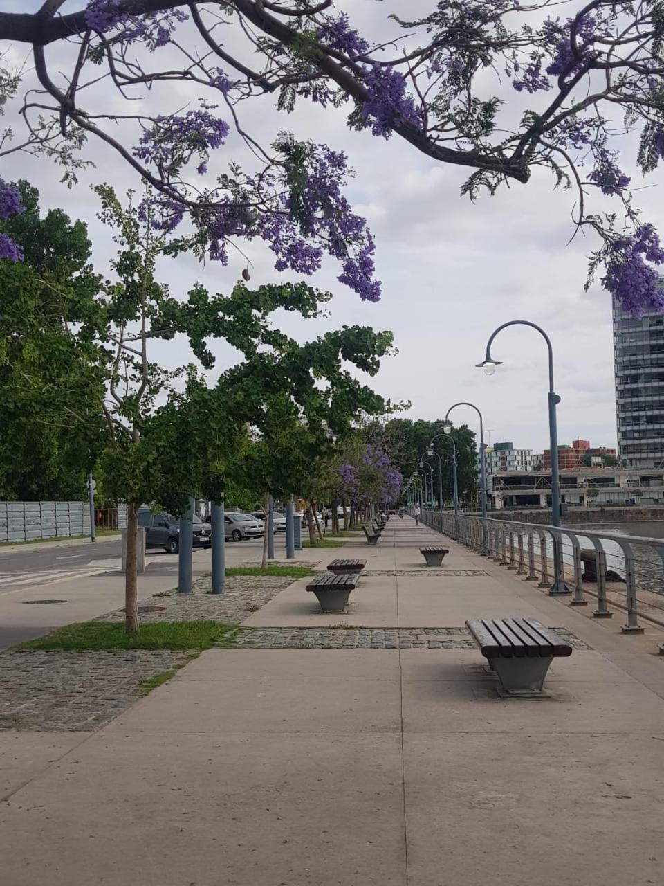 Daike Buenos Aires