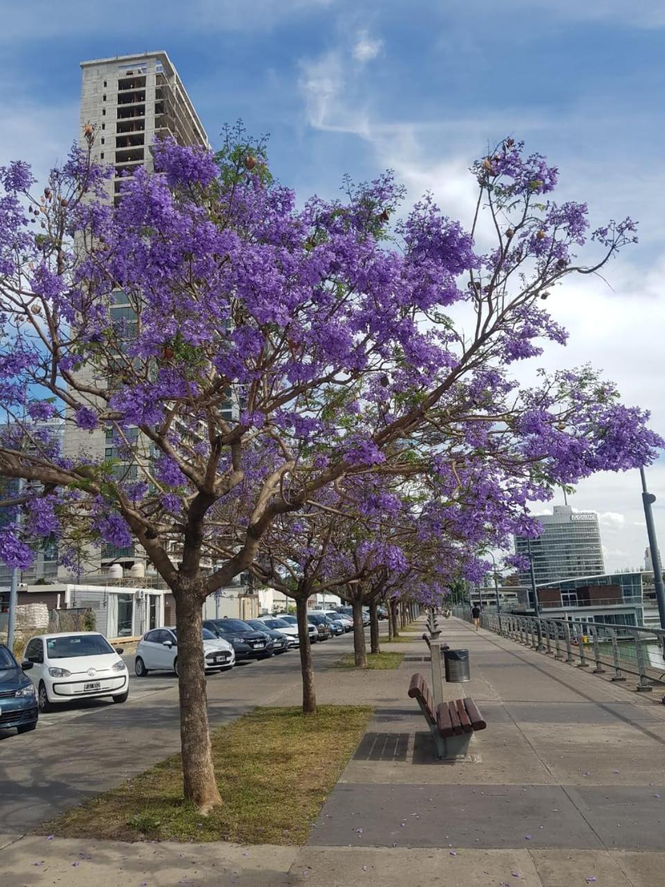 Daike Buenos Aires