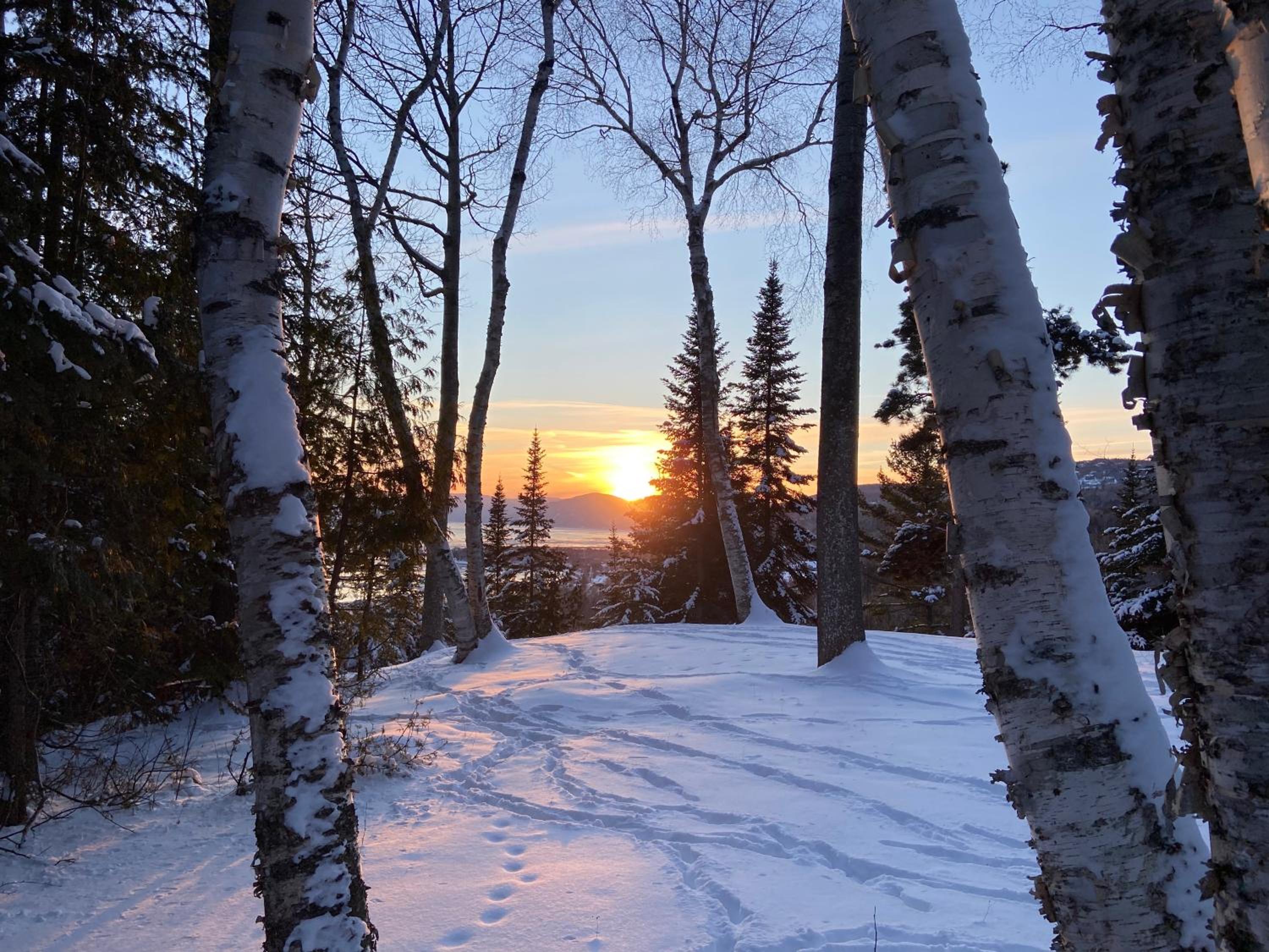Hotel Chalet Sous Les Pins - Image 1