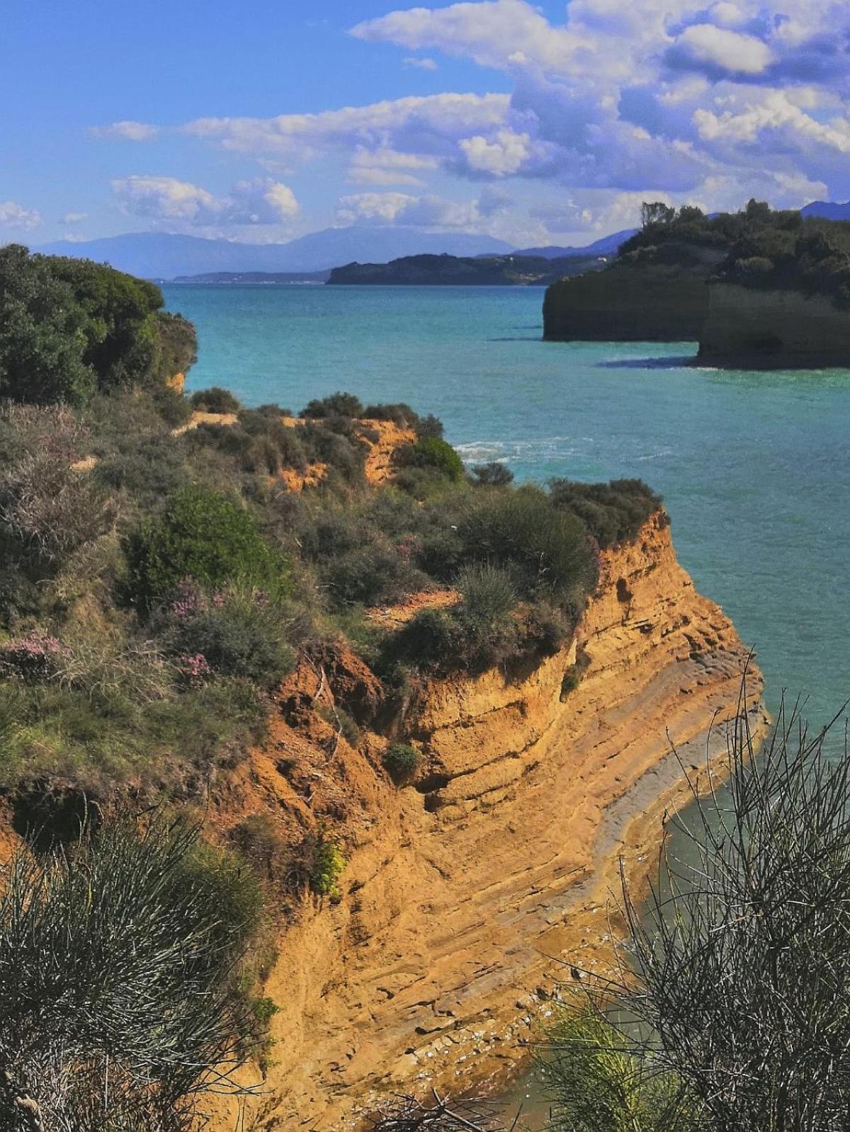 Photo 41