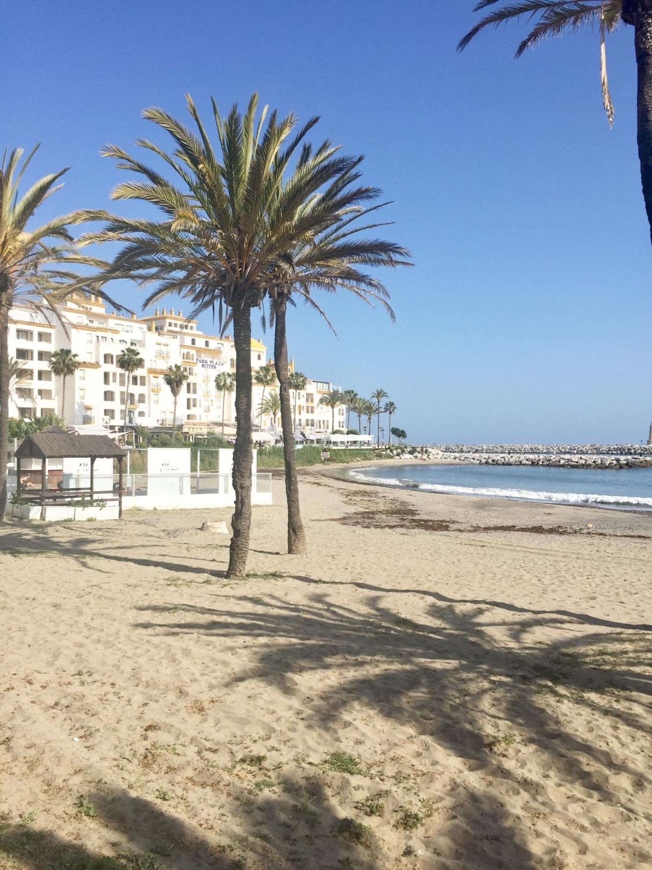 Puerto Banus .,Gray de’Albion view 3