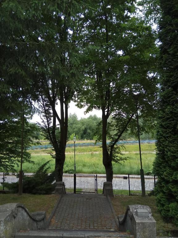 Photo 46