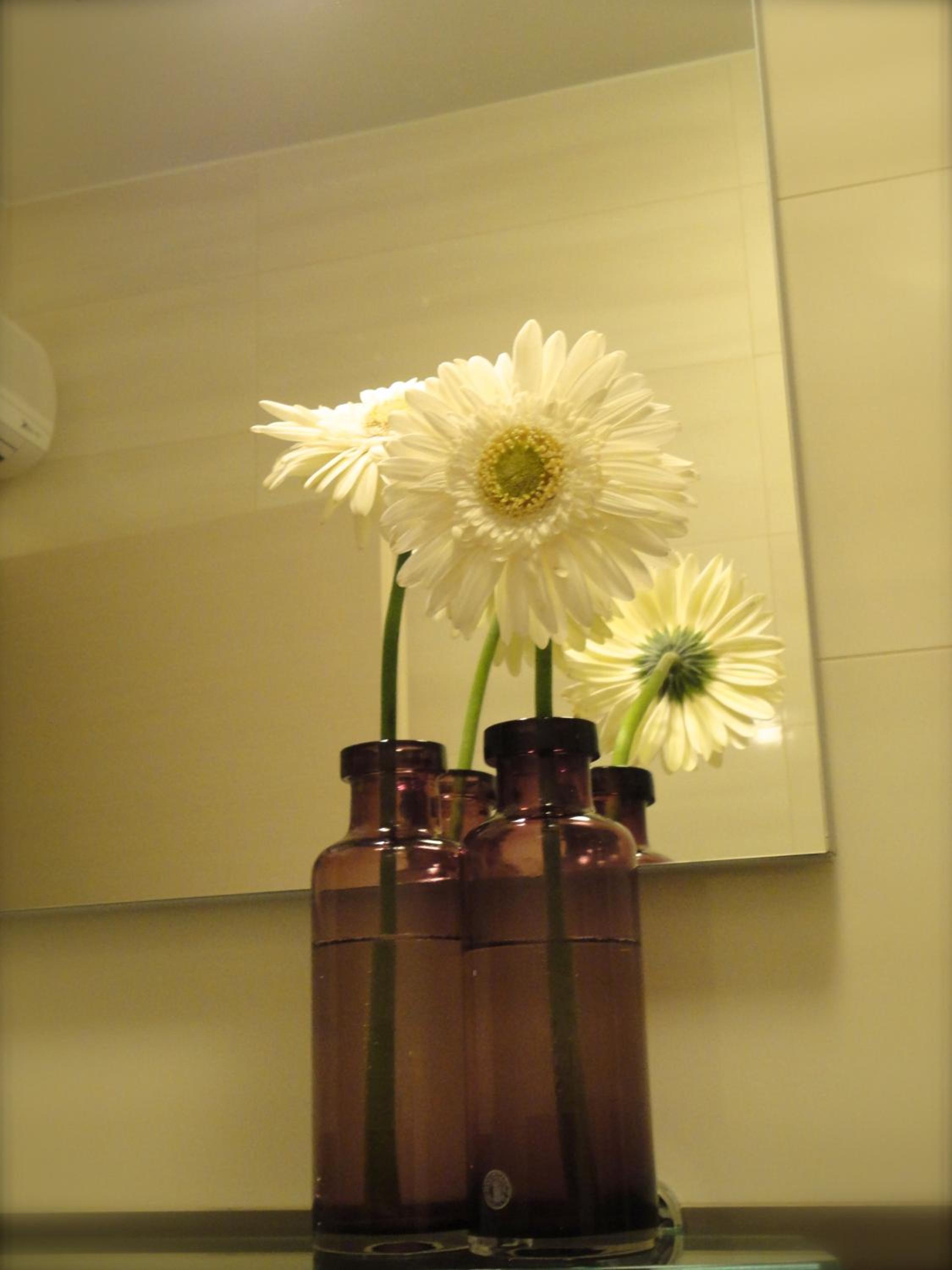 Dubrovnik Sunrise Apartment