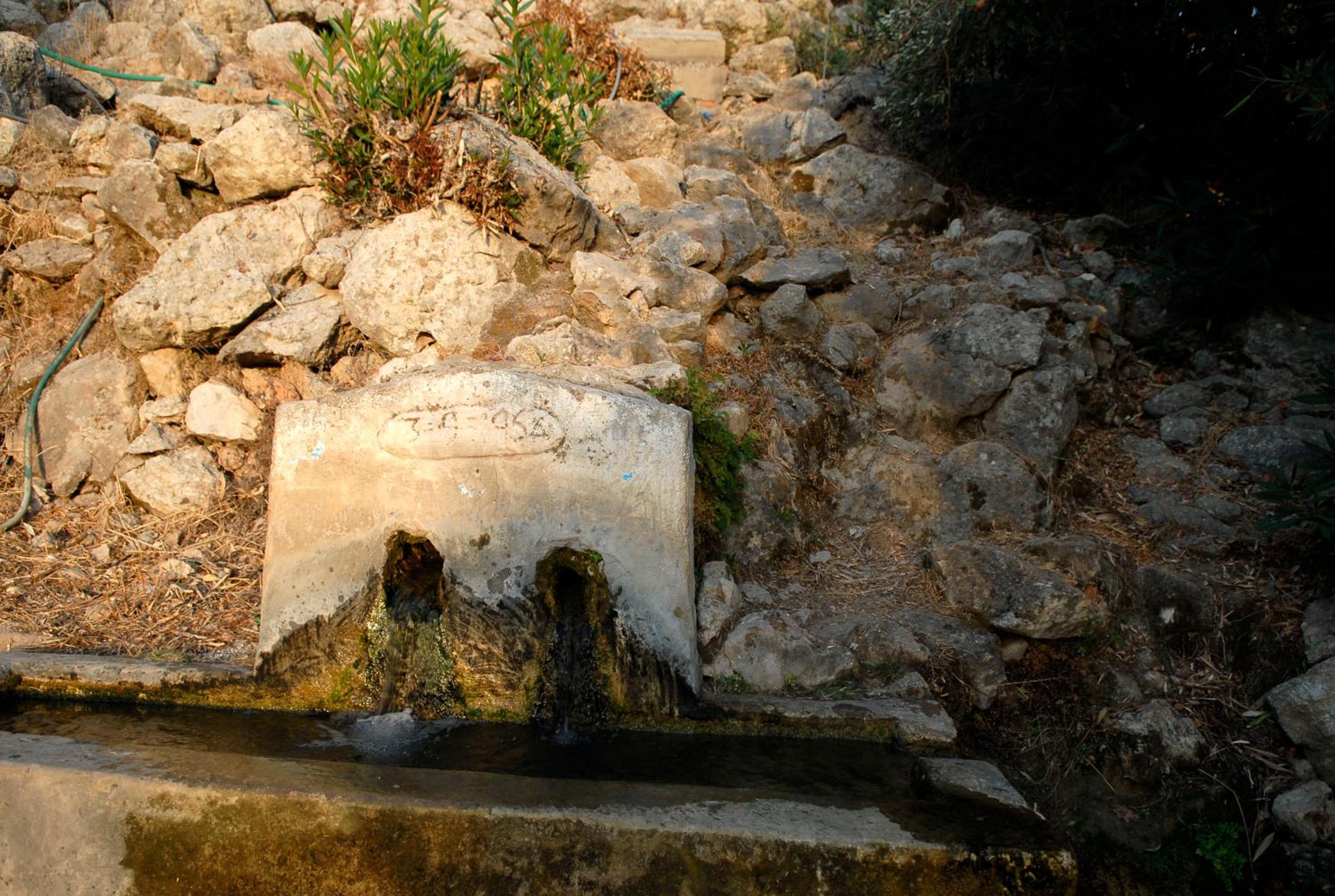 Photo 28