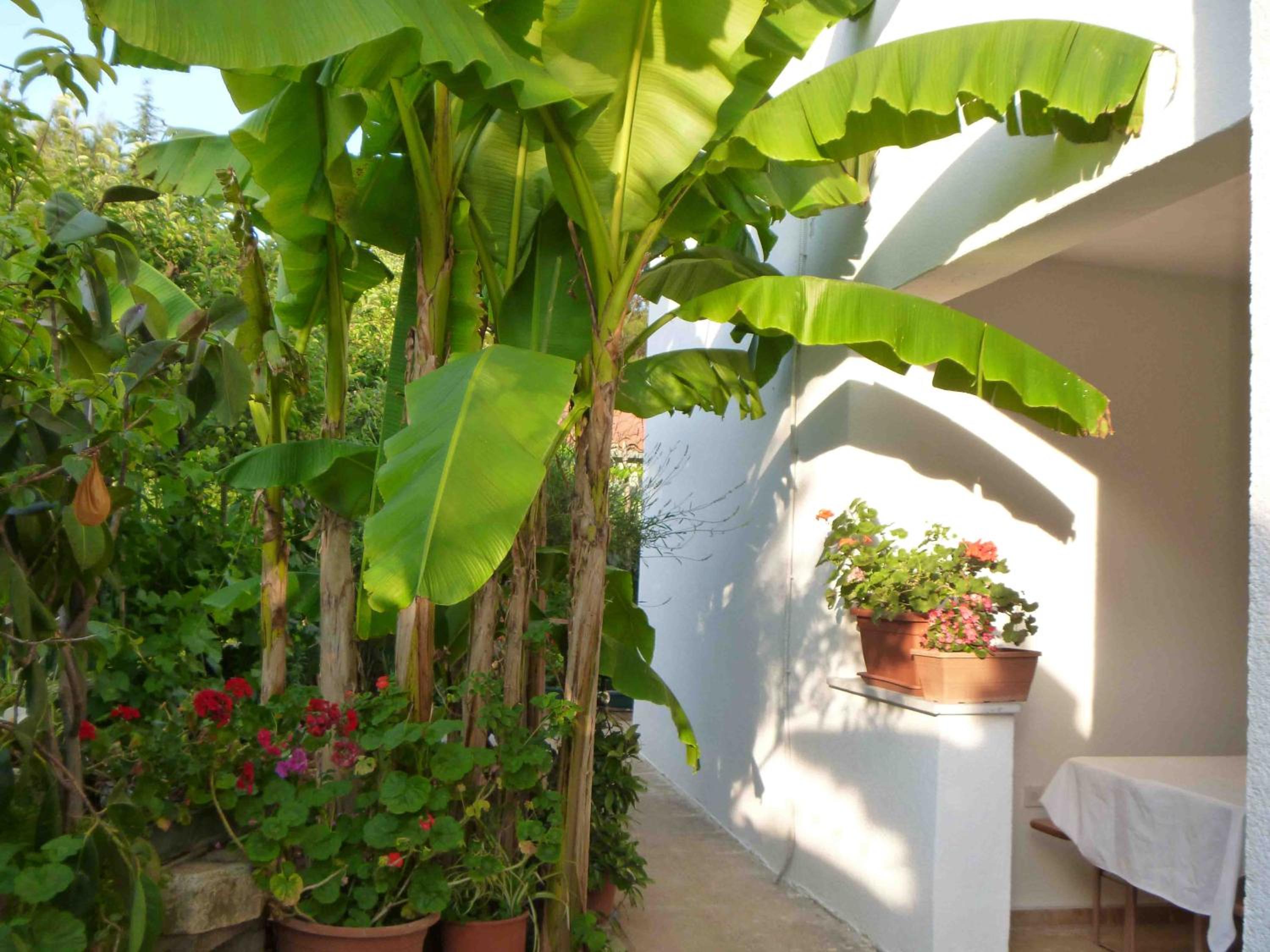 Angelo apartment, in the quiet part of Porec view 4