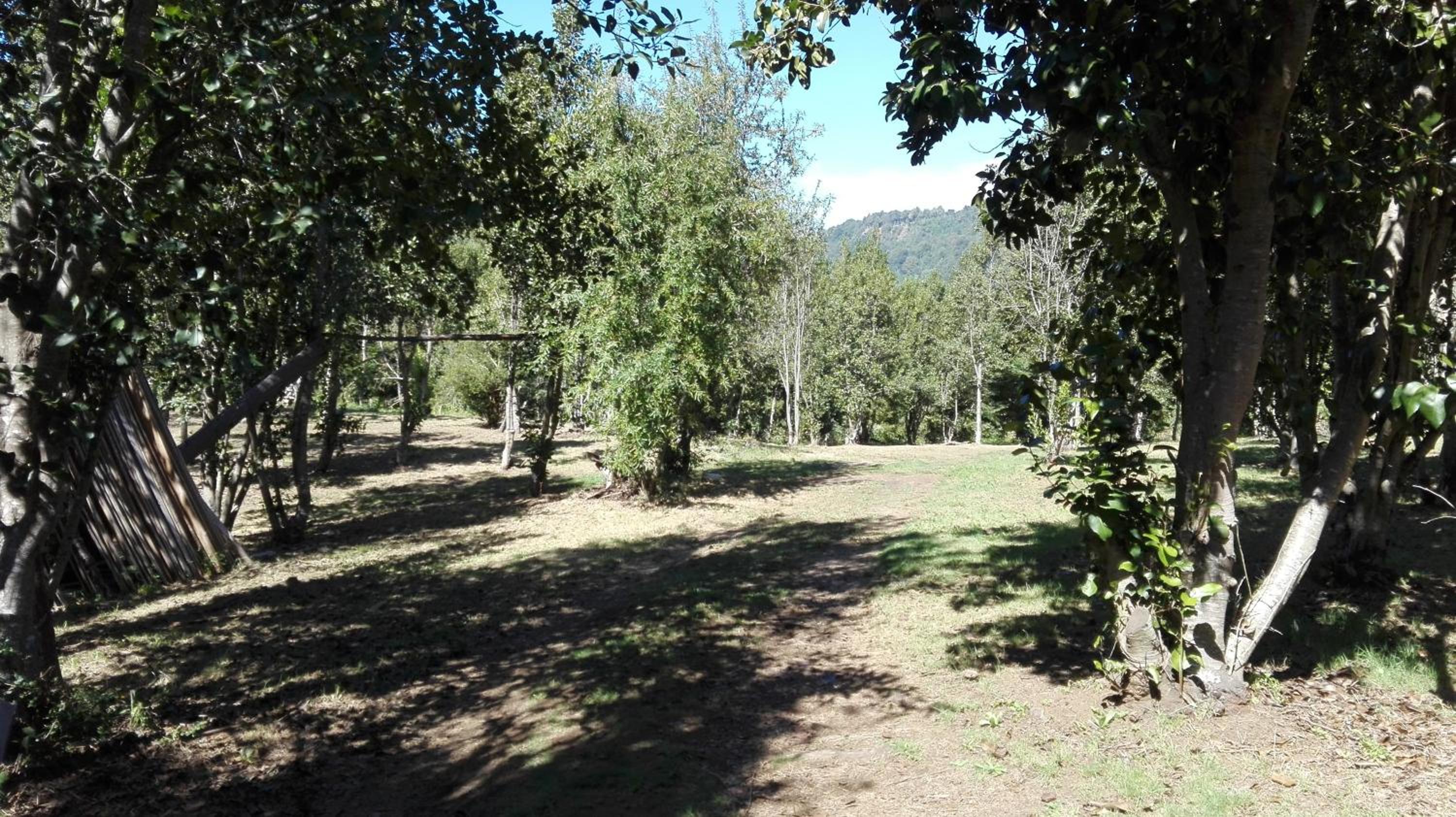 Photo 22