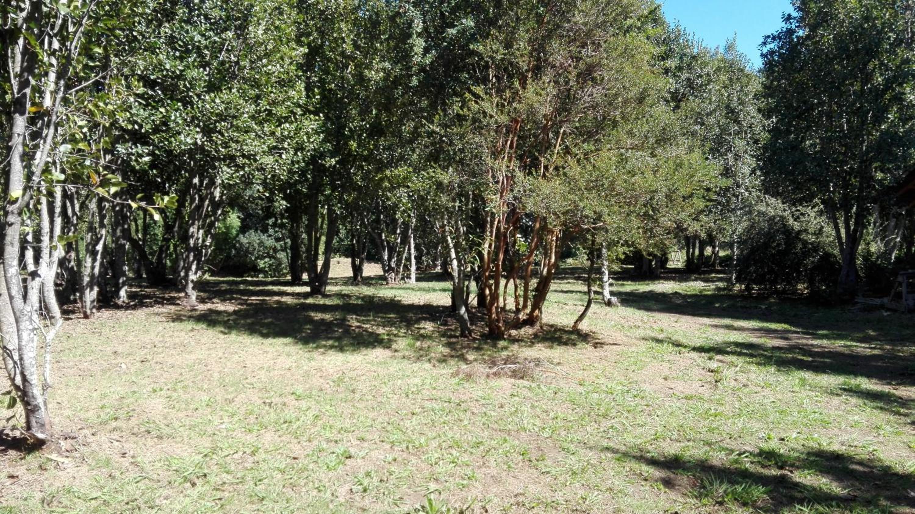 Photo 25
