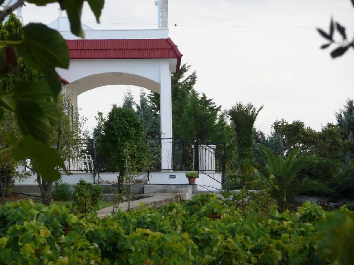 Photo 16