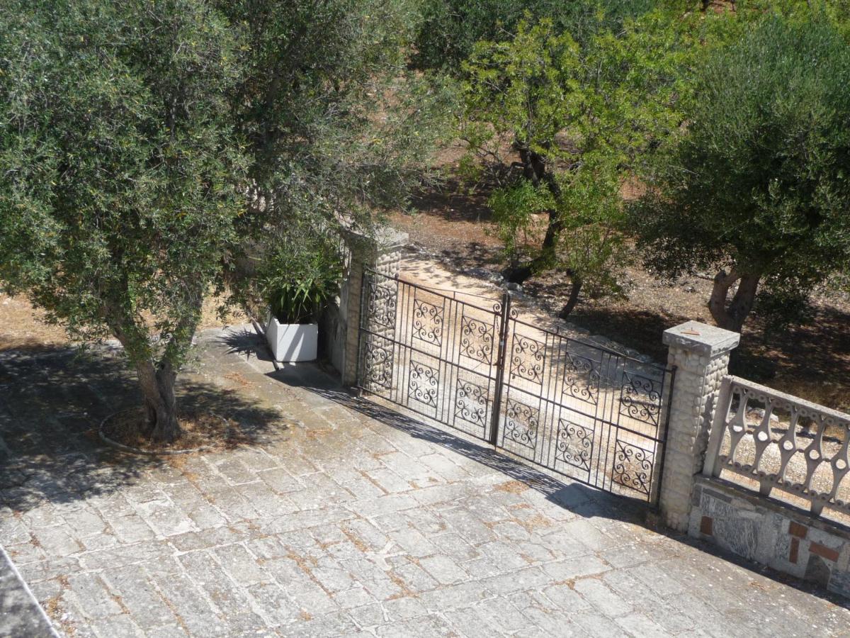 Photo 26
