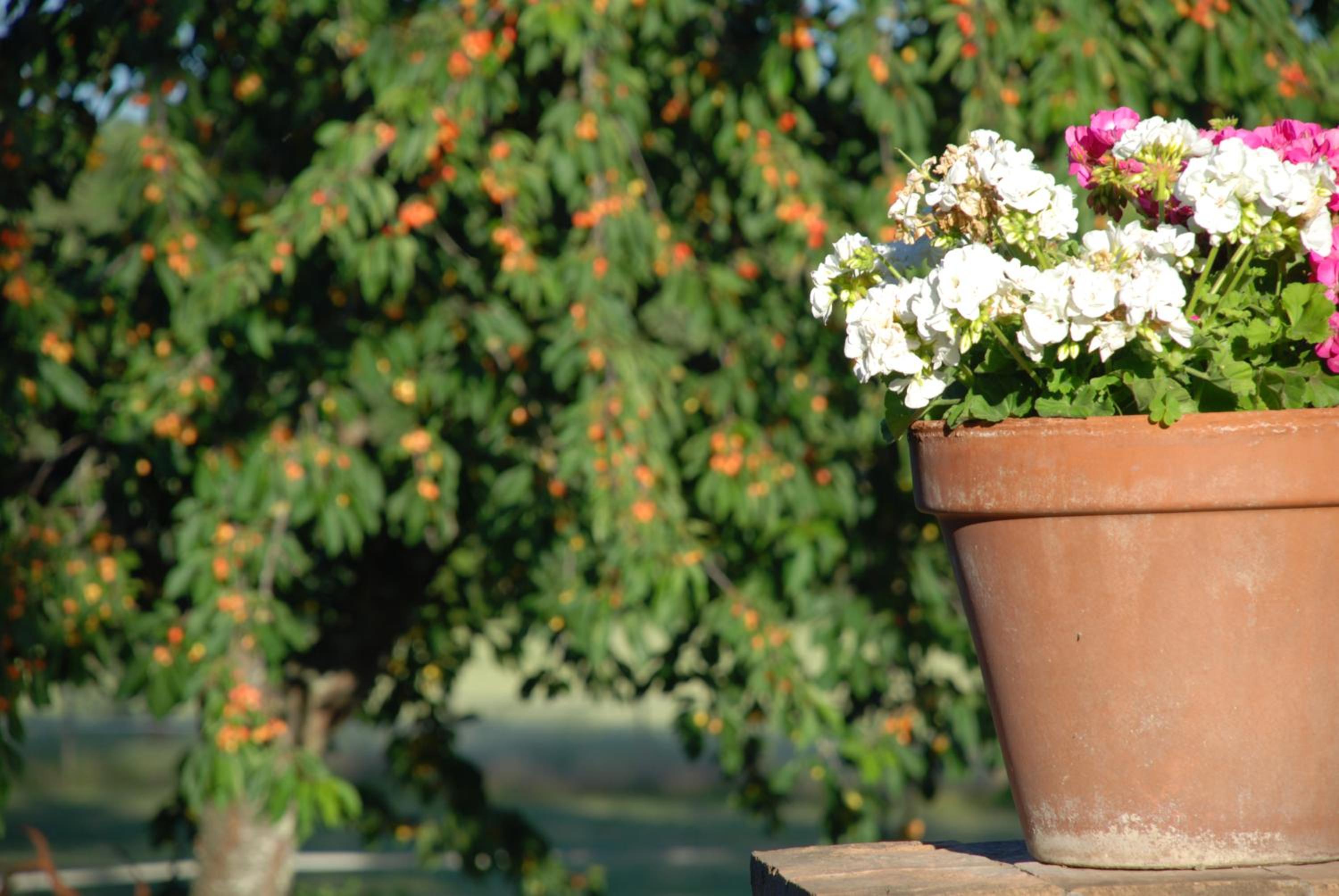 Silence and relaxation in countryside of Umbria
