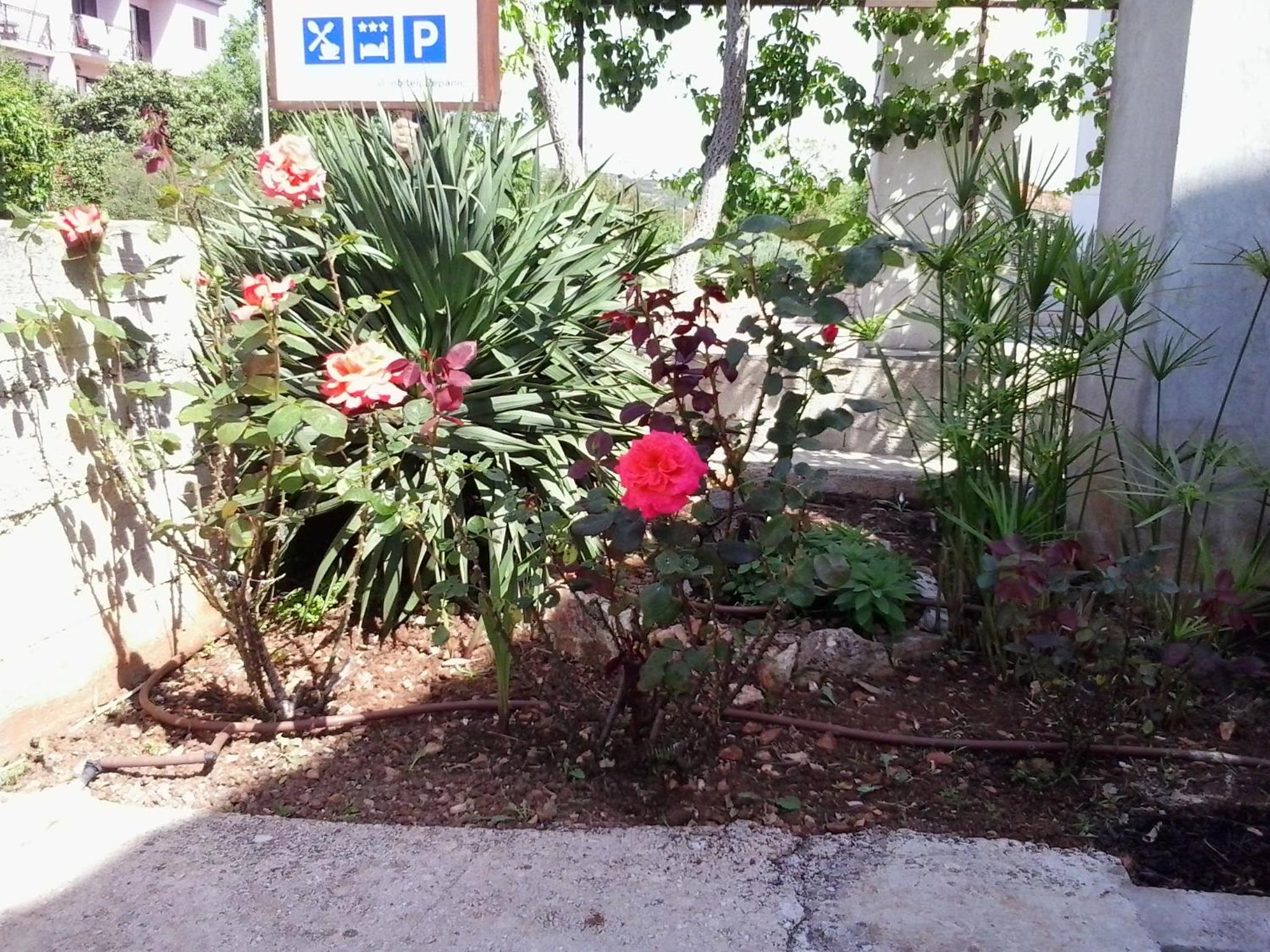 Superior apartment in Stari Grad view 5