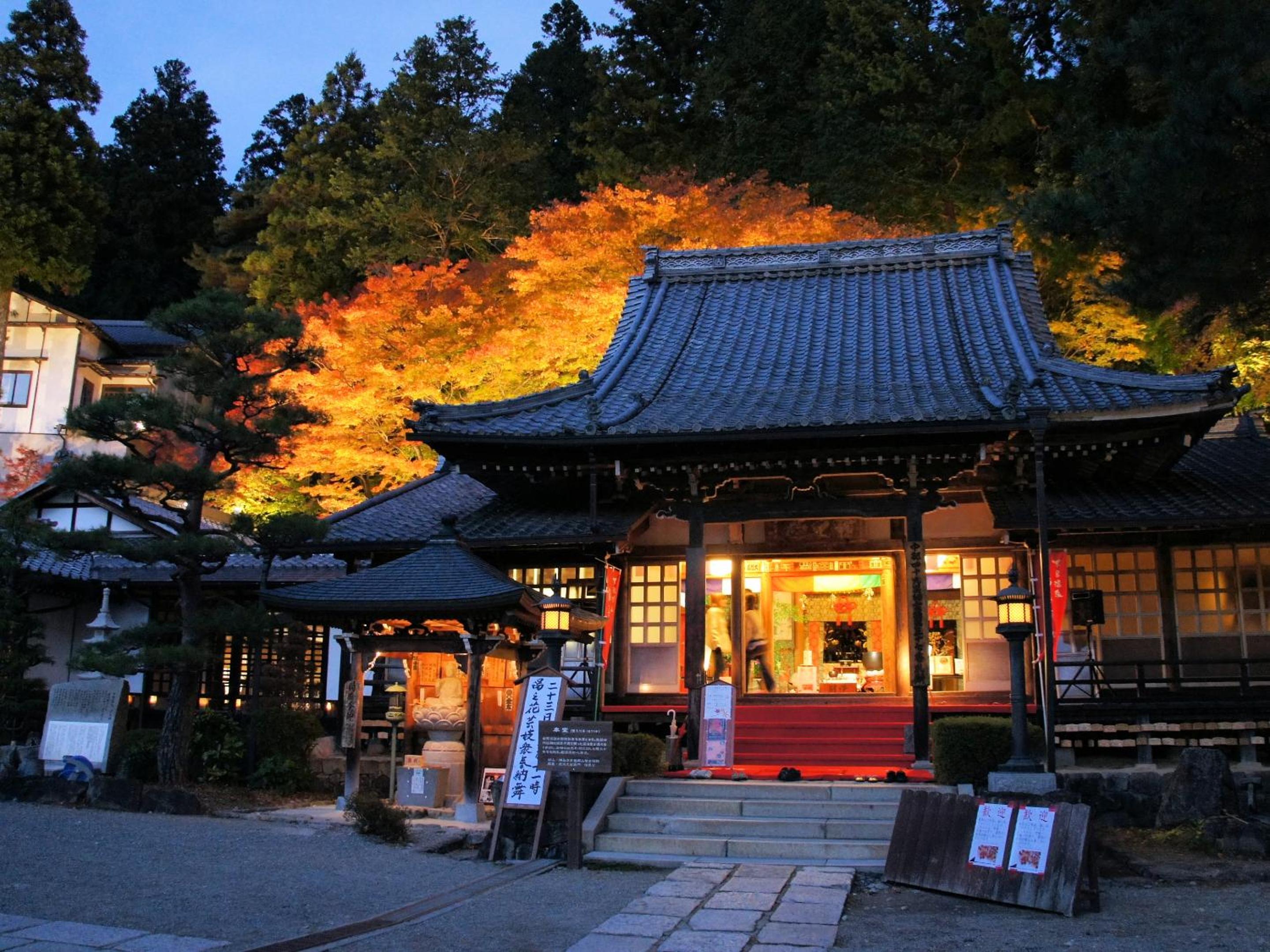 Ooedo Onsen Monogatari Premium Gero Honkan