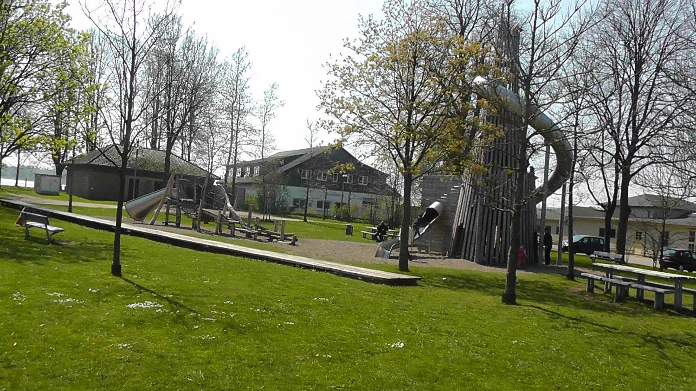 Photo 6
