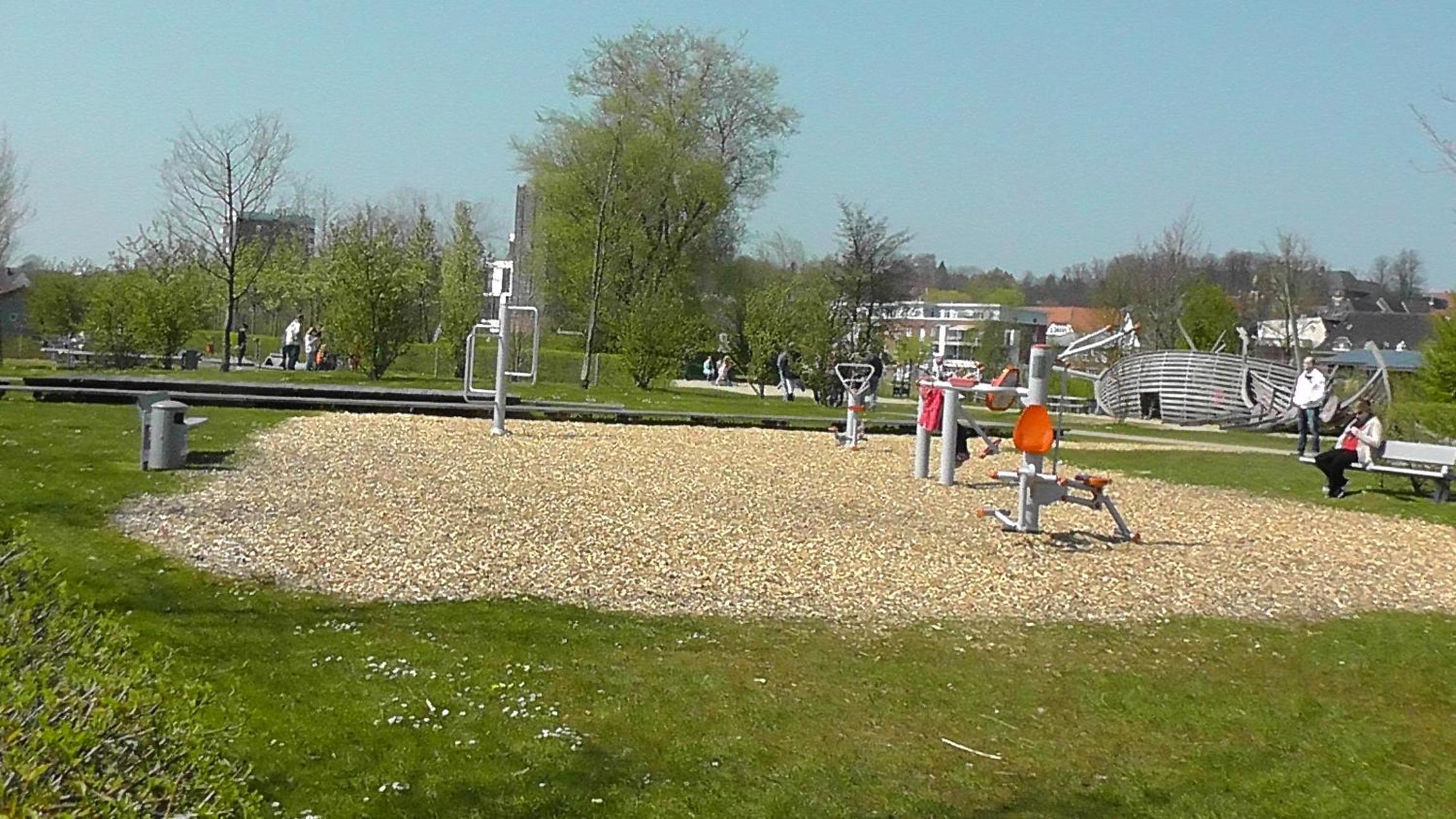 Photo 12