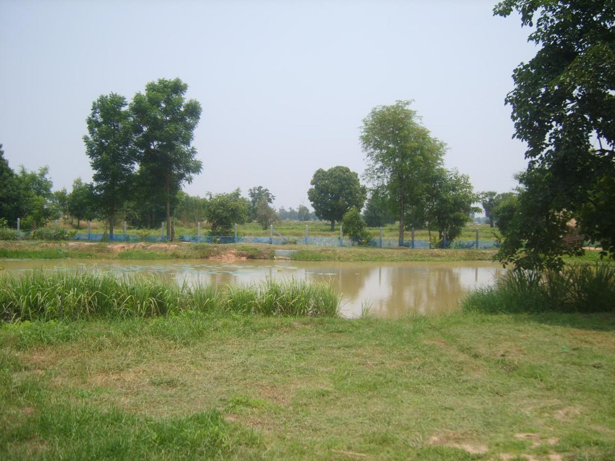 children's play area
