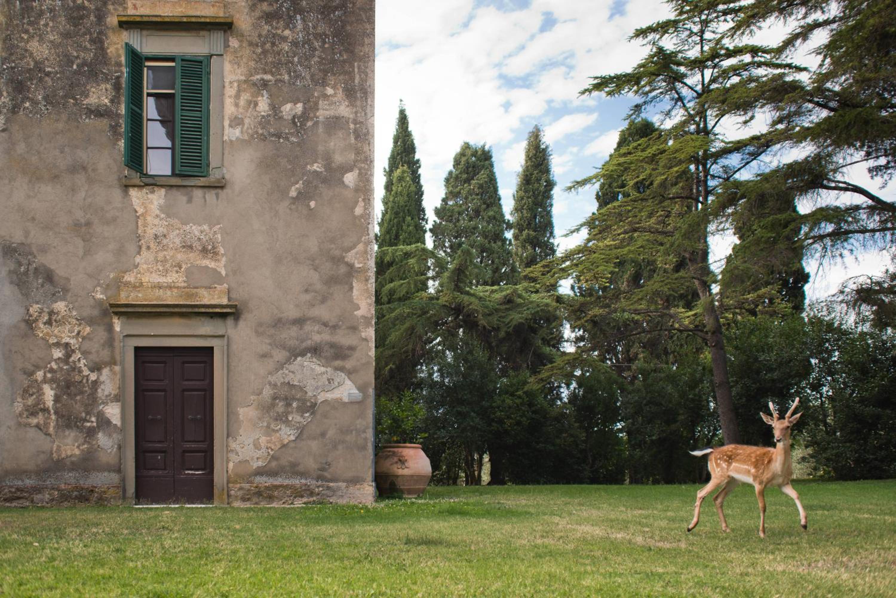 Tenuta di Poggio Cavallo